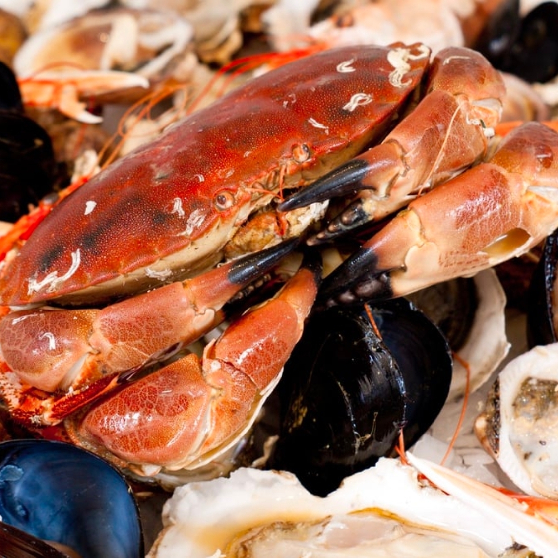 fruits-de-mer-dijon-1-