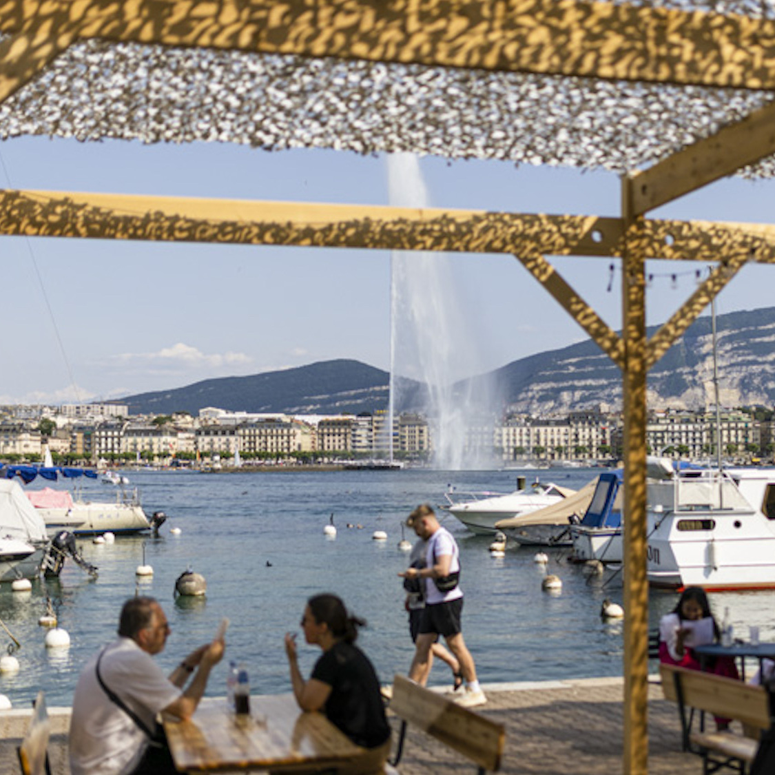 cormoran-ville-geneve-galerie-003
