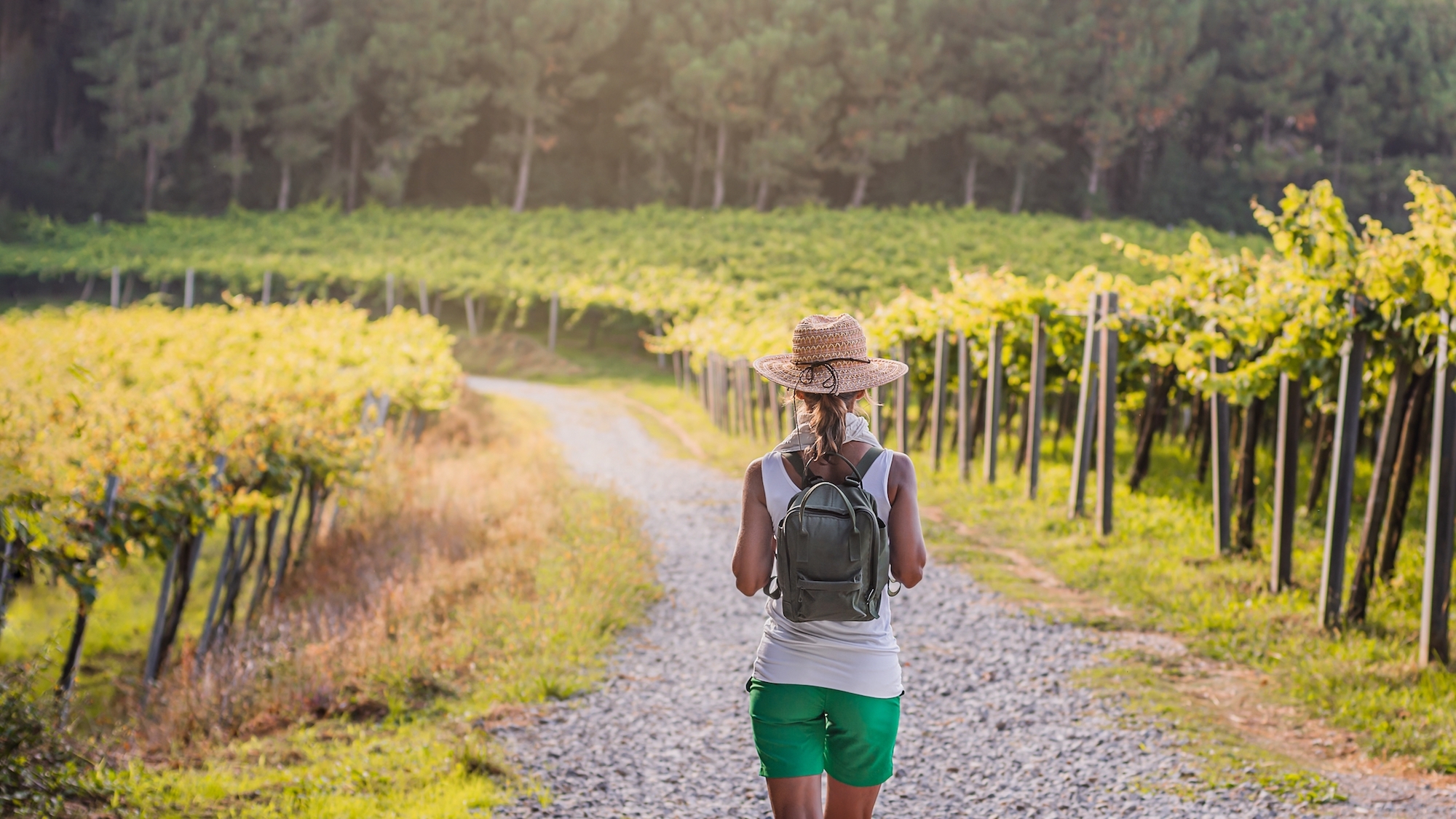 Une randonnée de 160 km parcourt toute la Métropole de Bordeaux shutterstock-2059888454