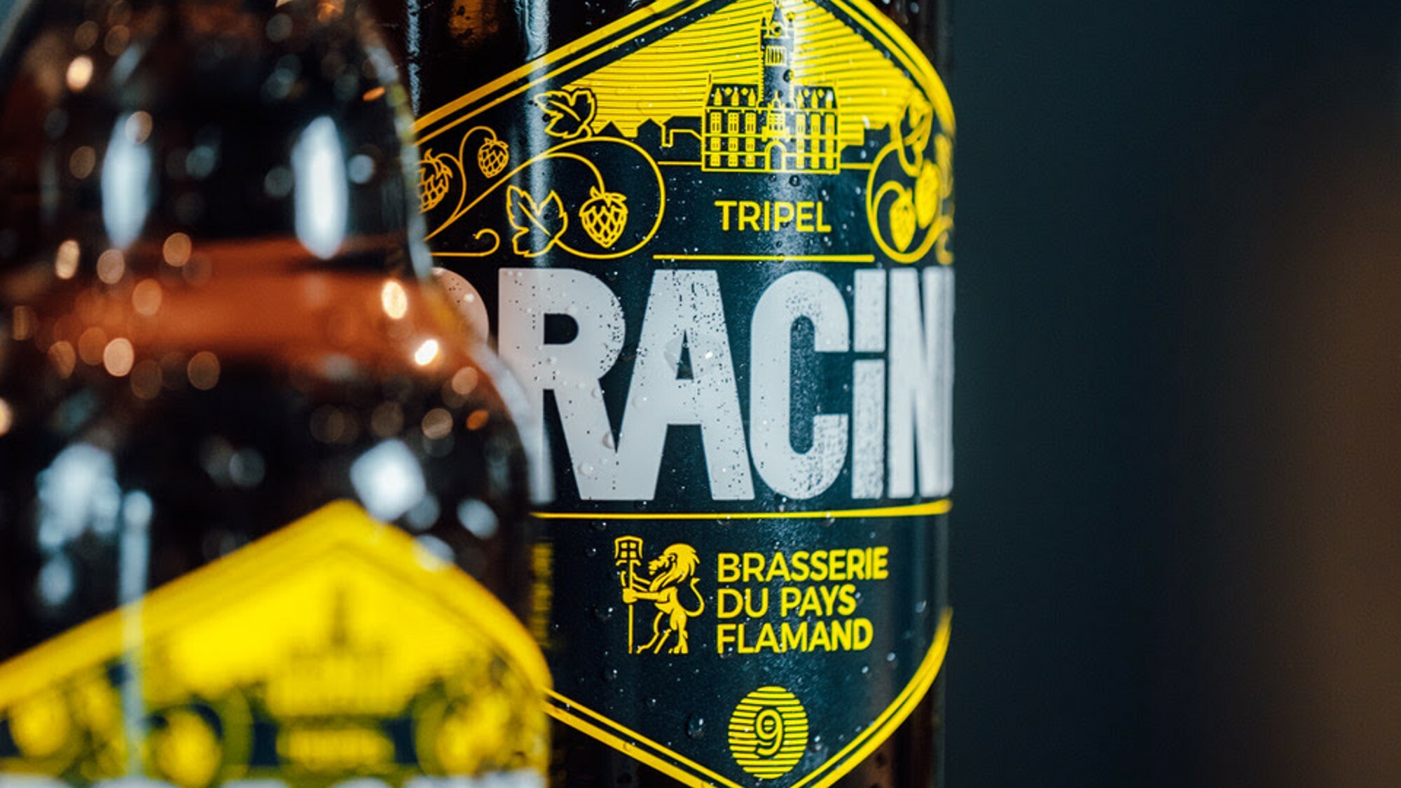 La Bracine Tripel, du Pays Flamand, élue meilleure bière triple du monde