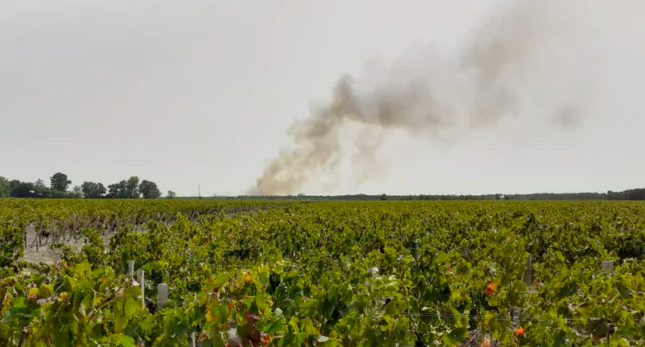 incendie gironde forêt lamarque