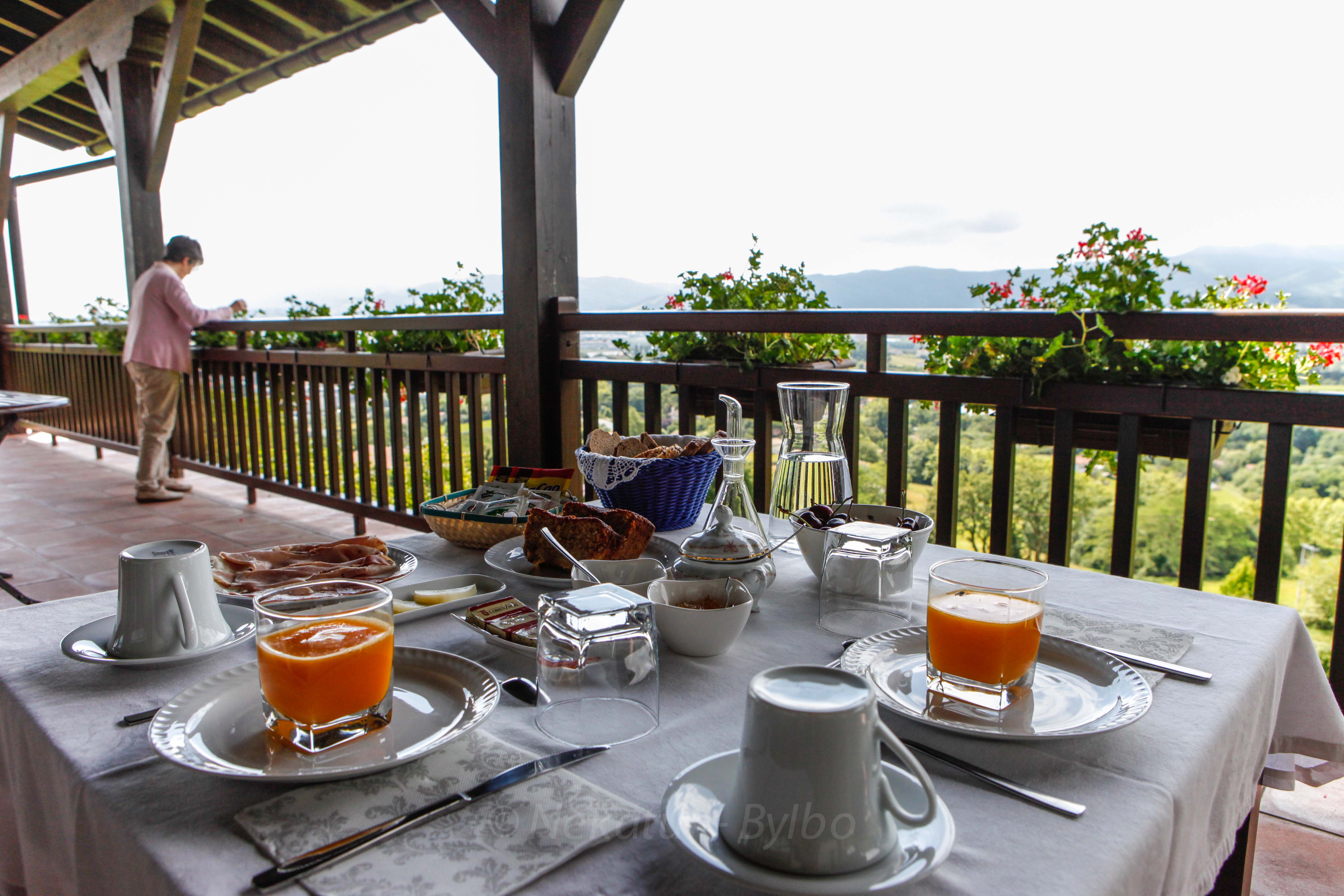 nekatur vacances logements