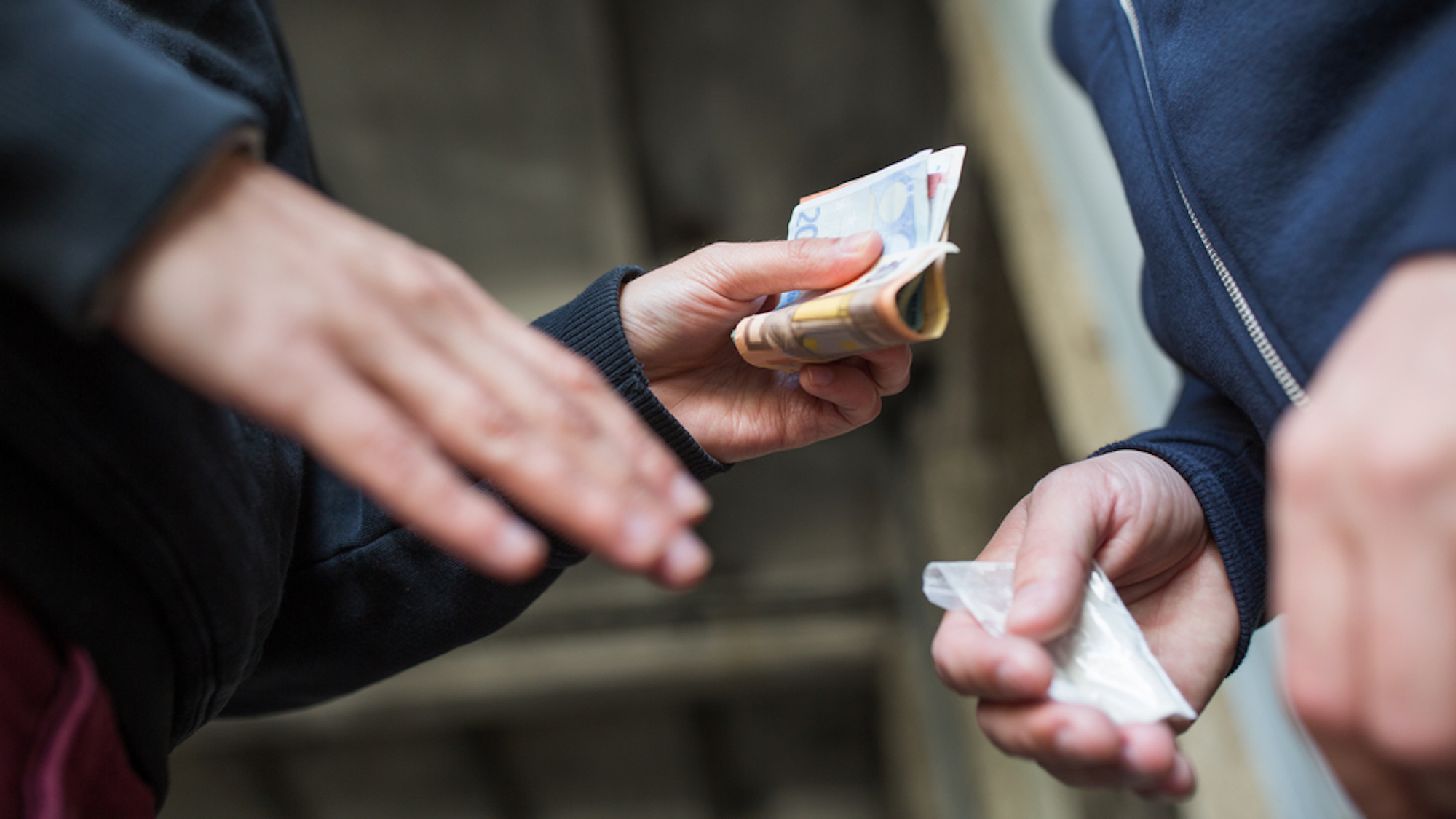 "Touche pas à ma cité" : des résidents d'une cité de Marseille se mobilisent pour protéger leur lieu de vie marseille-drogue-campanules-