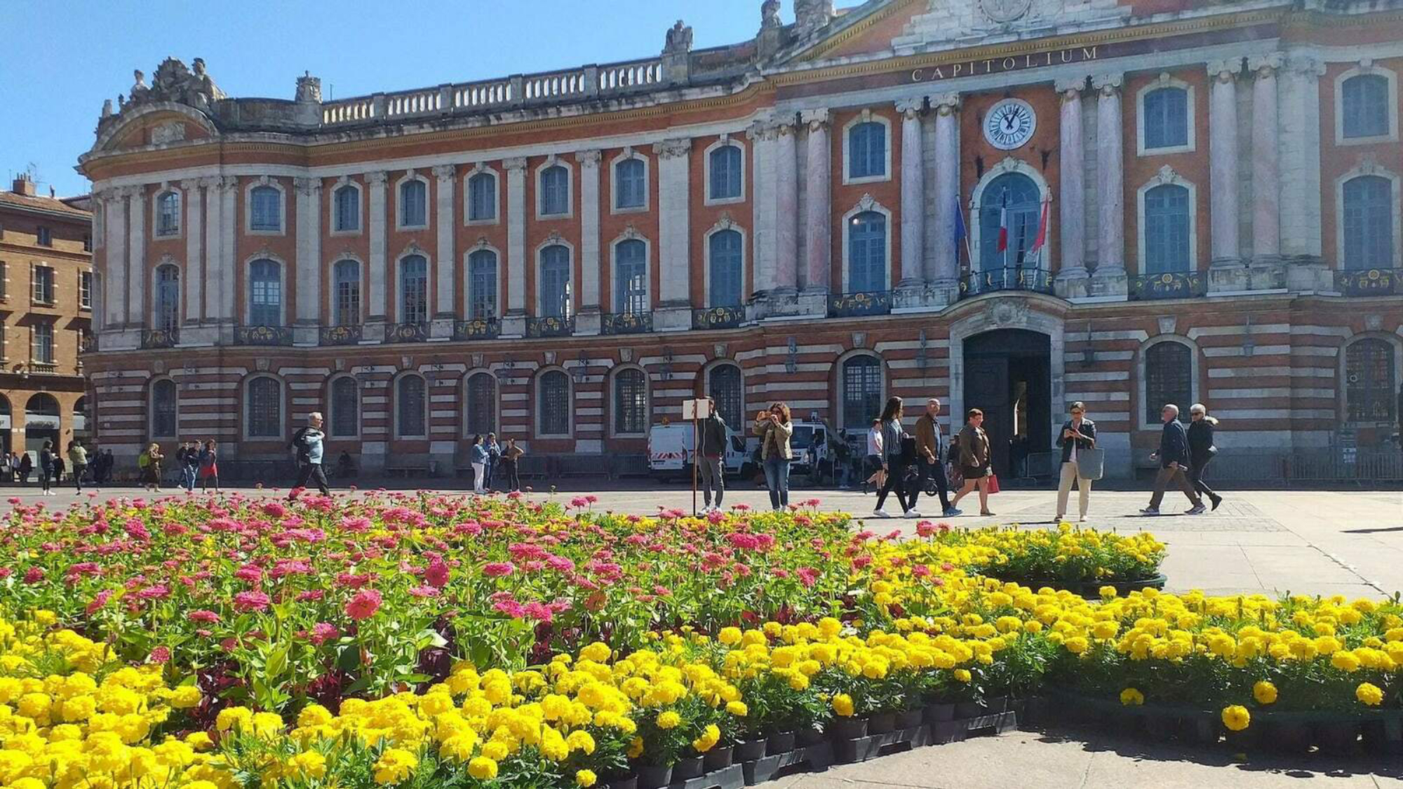 Violette de Toulouse – Le Bonbon au Palais