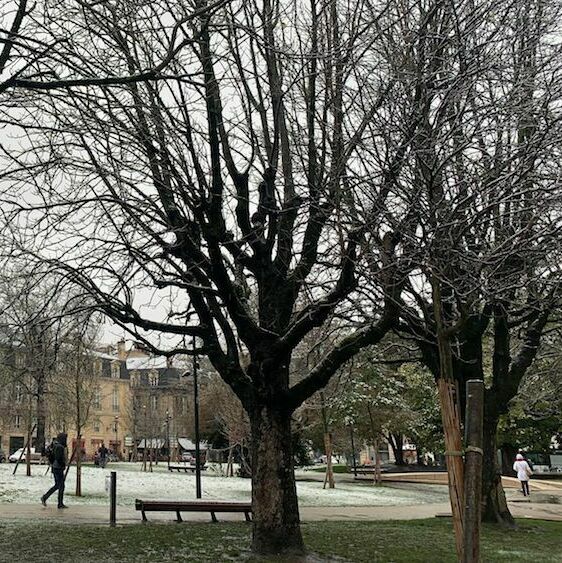 Vidéos. Neige à Bordeaux : les premiers flocons sont tombés ce mercredi  matin