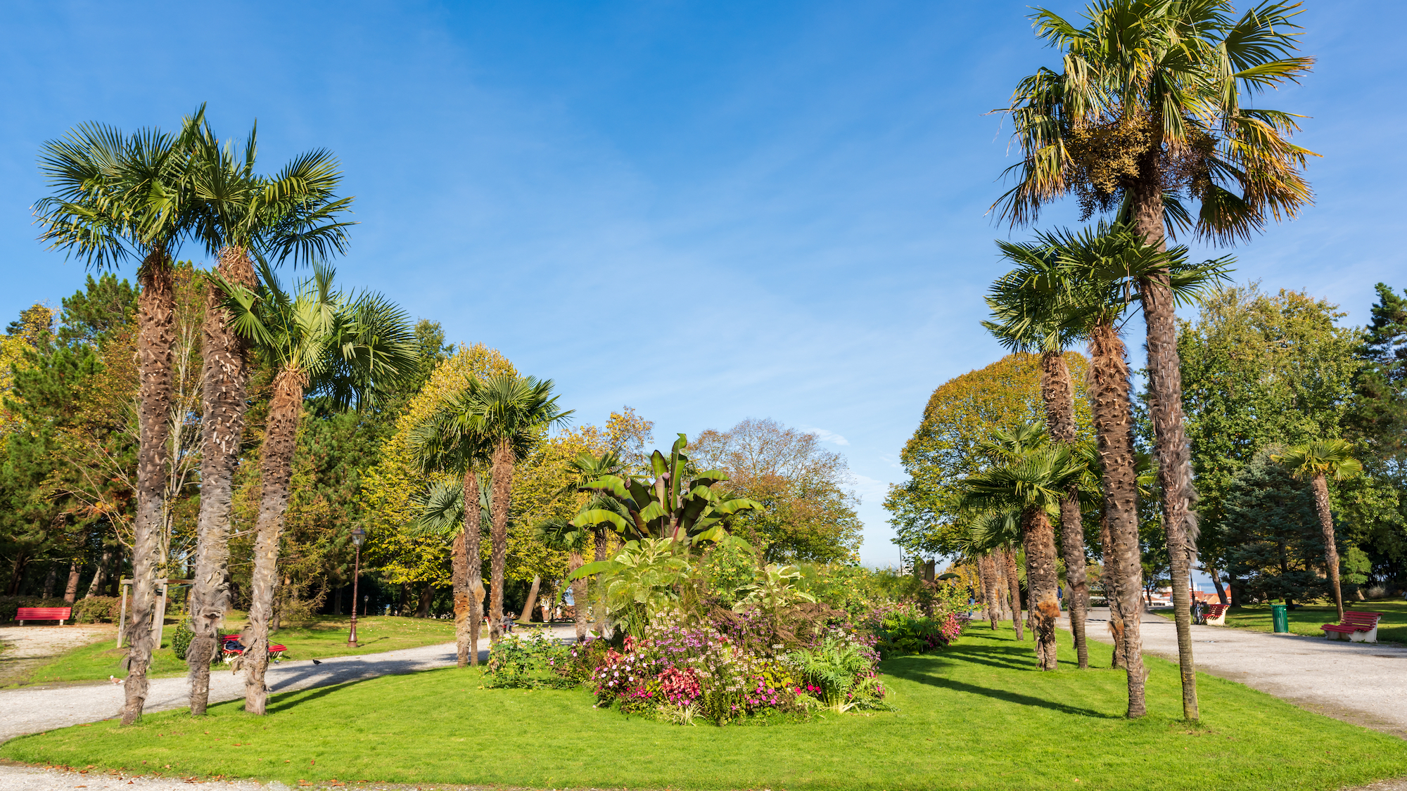 shutterstock-1220809801