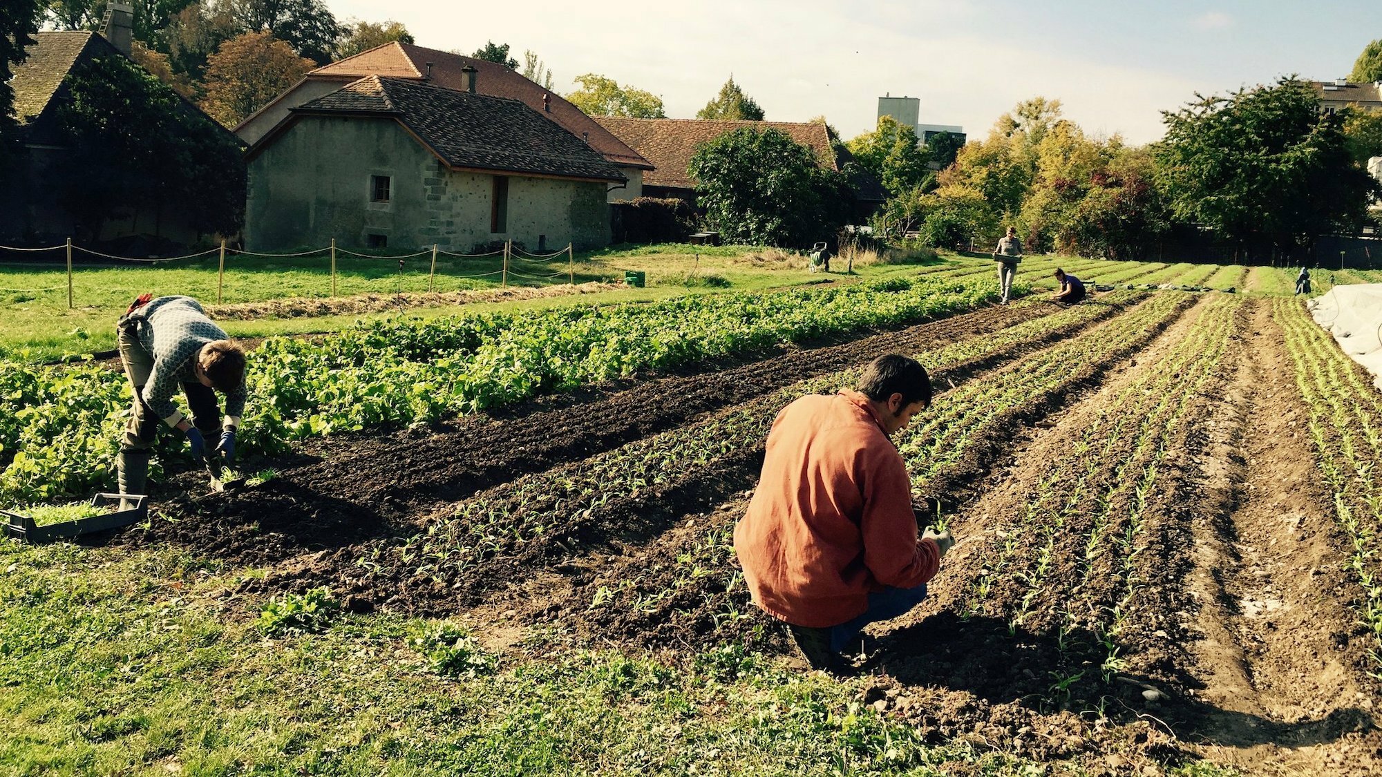 ferme-de-bude-geneve