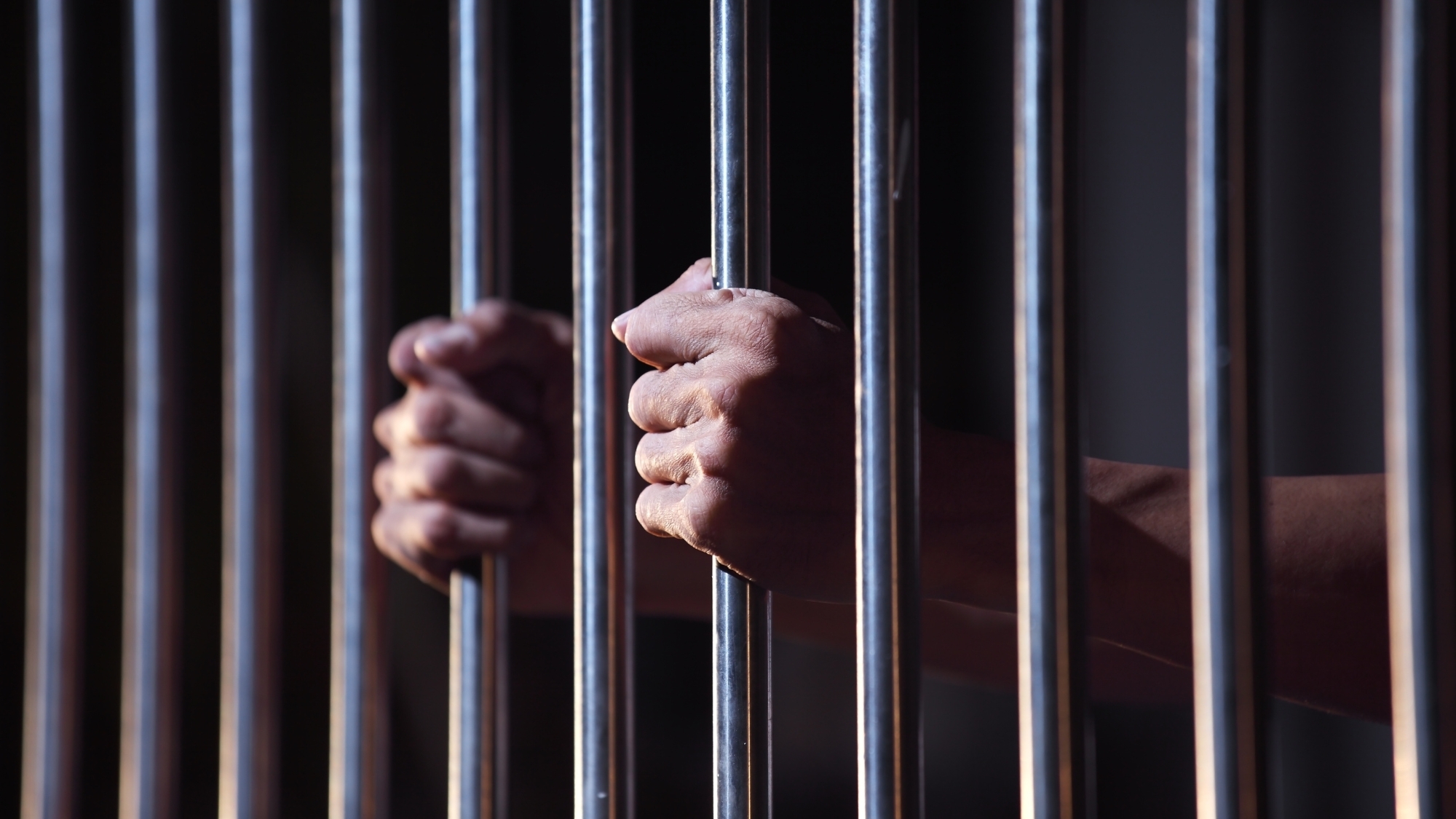 Prison Island, le Fort Boyard dijonnais prison-island-dijon