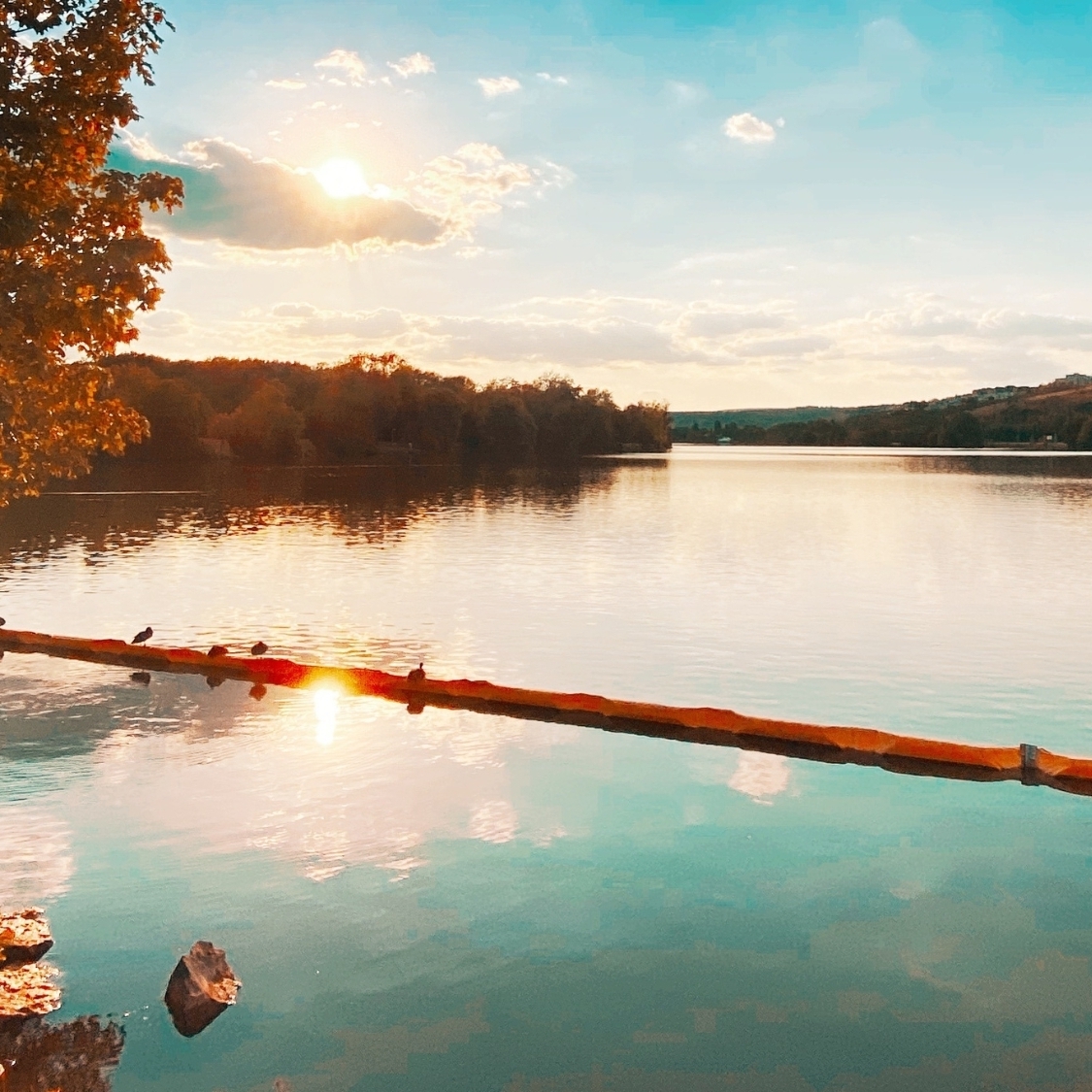 lac-kir-dijon