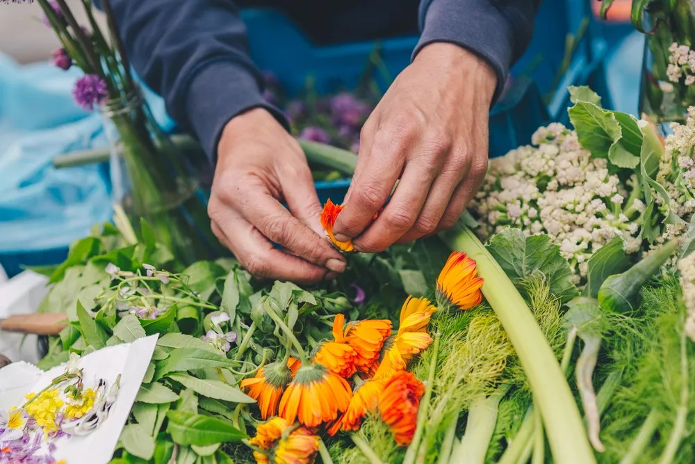march&eacute; clarance lille