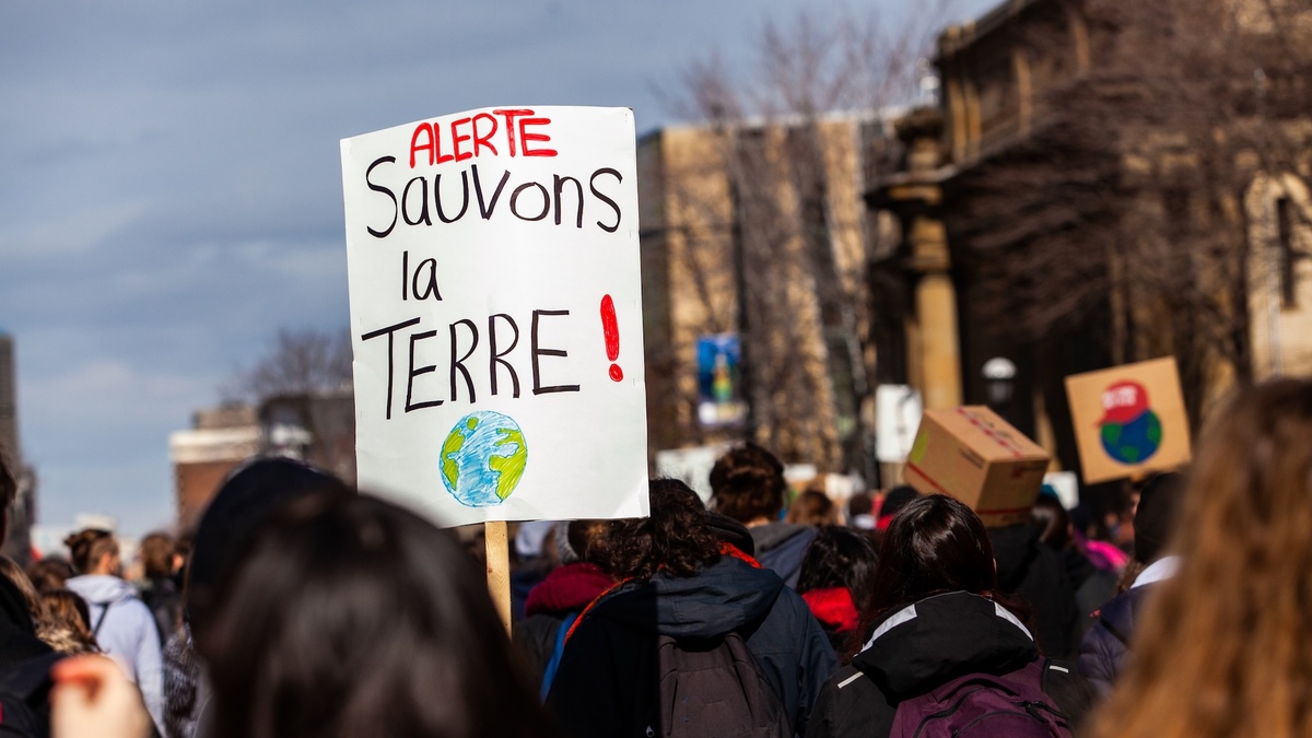 Le Conseil D Tat Annule La Dissolution Des Soul Vements De La Terre Le Bonbon