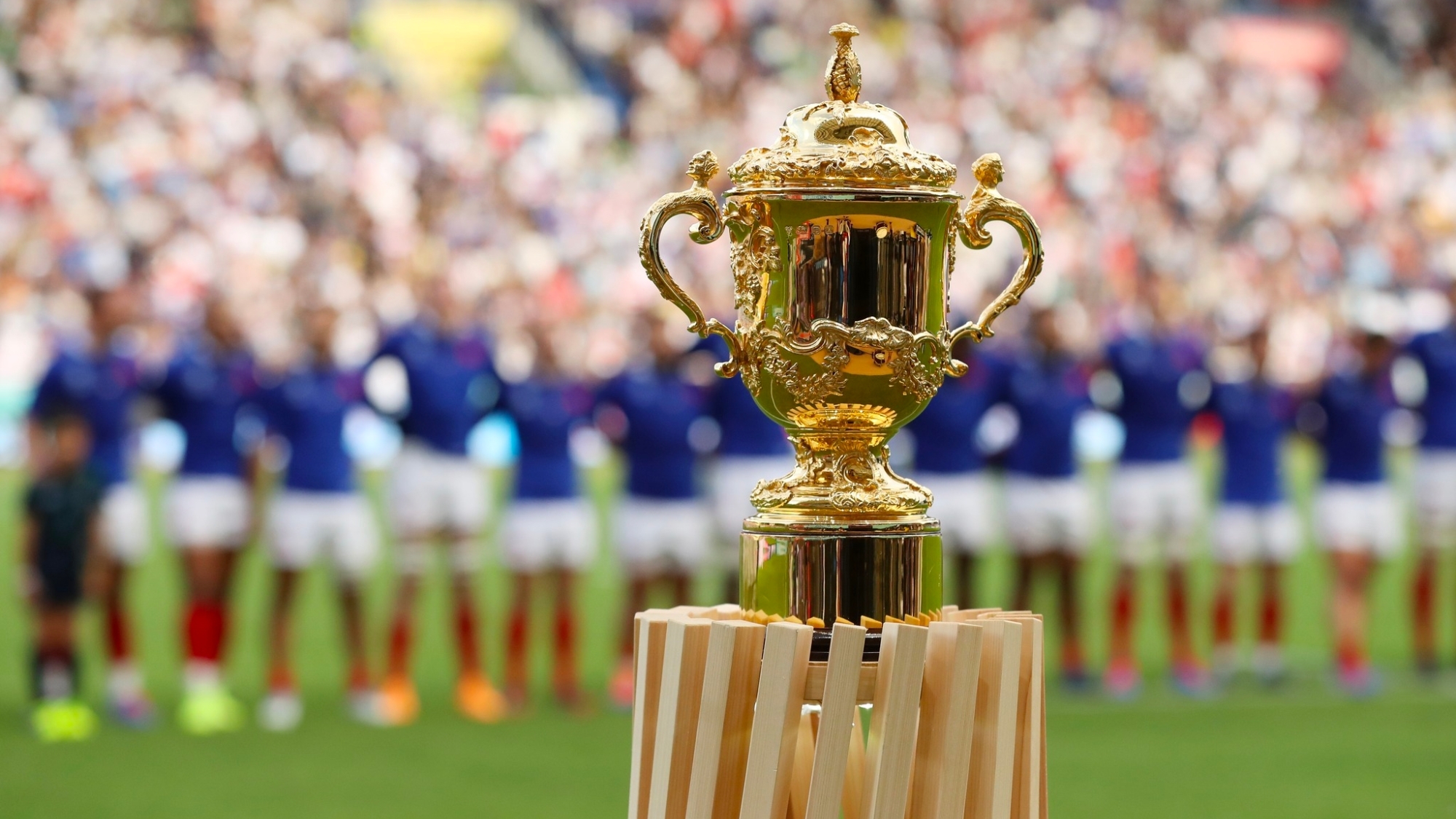 coupe-du-monde-rugby-1-