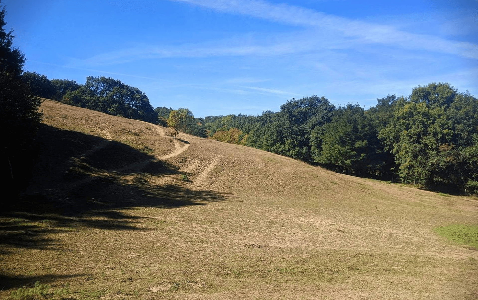 randonnée lyon