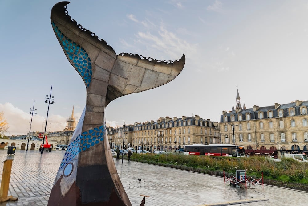 baleine-bordeaux-paul-watson