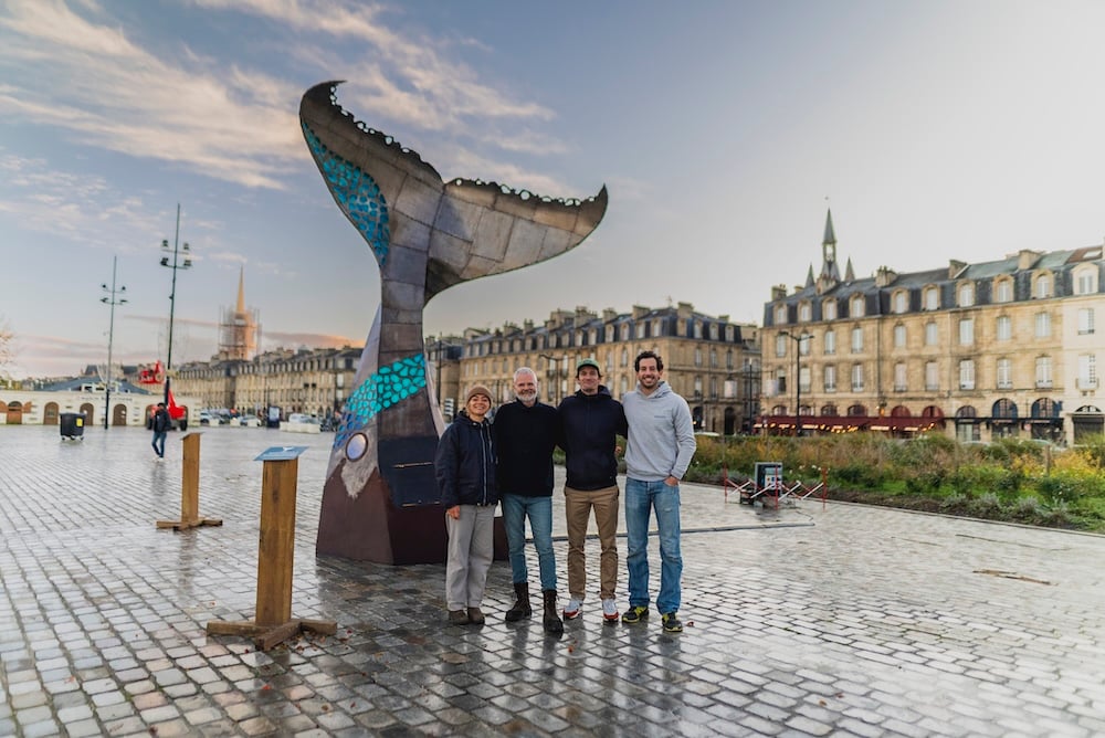 baleine-quais-bordeaux