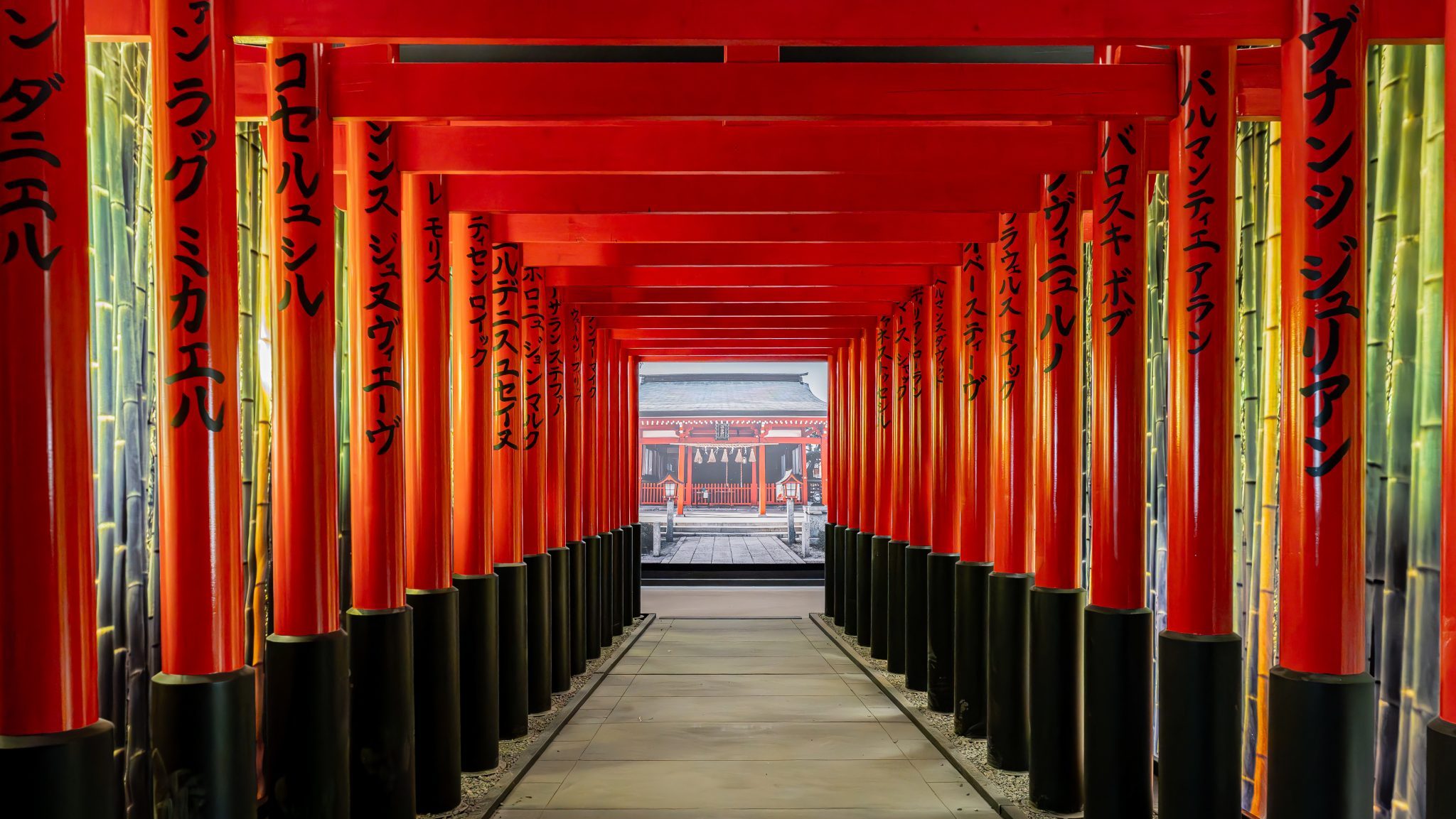 exposition passion japon lyon