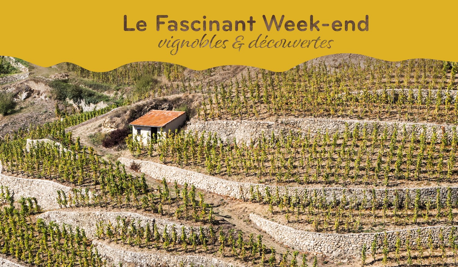 fascinant-week-end-vin-vienne-condrieu