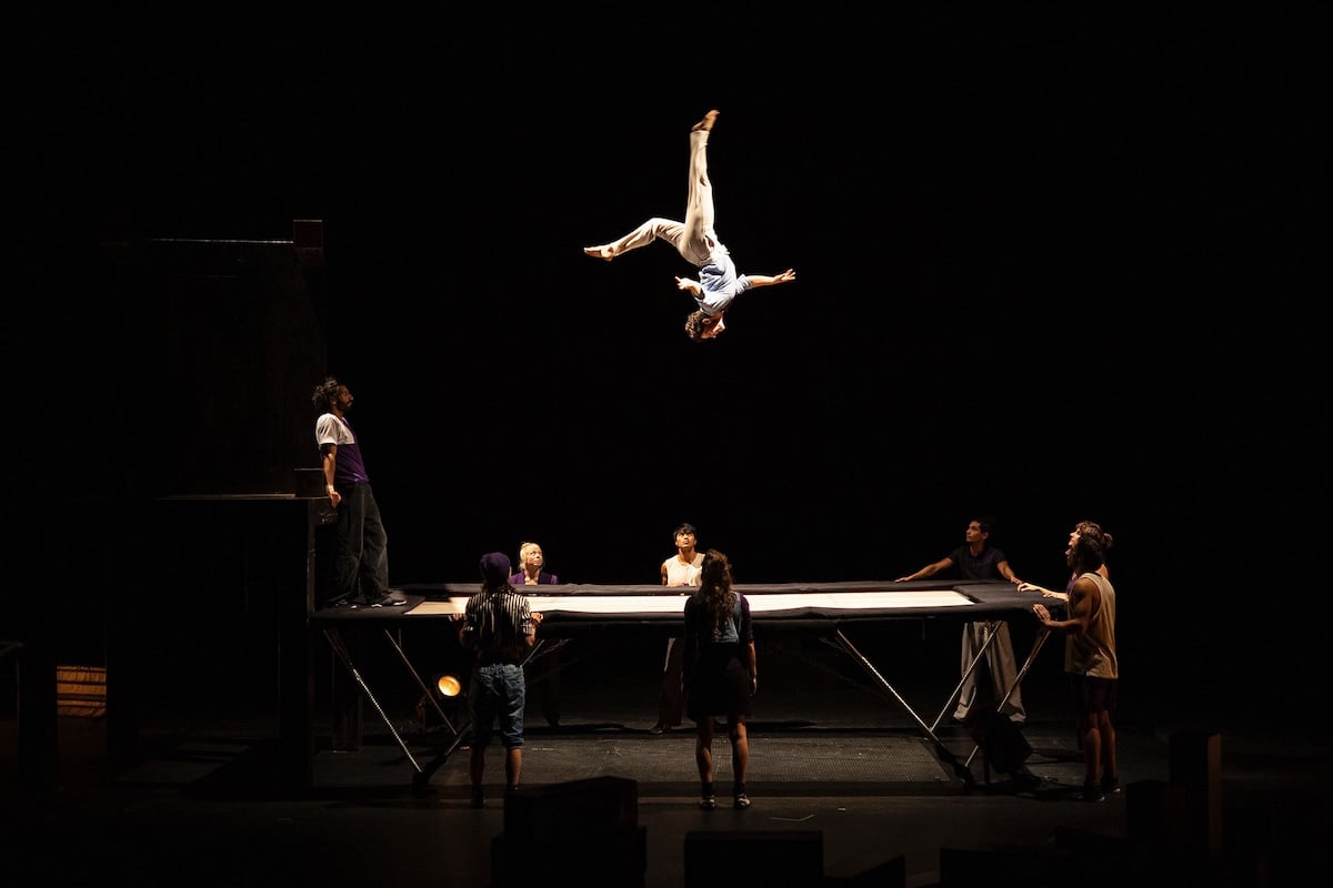 salto-spectacle-theatre-celestins-lyon