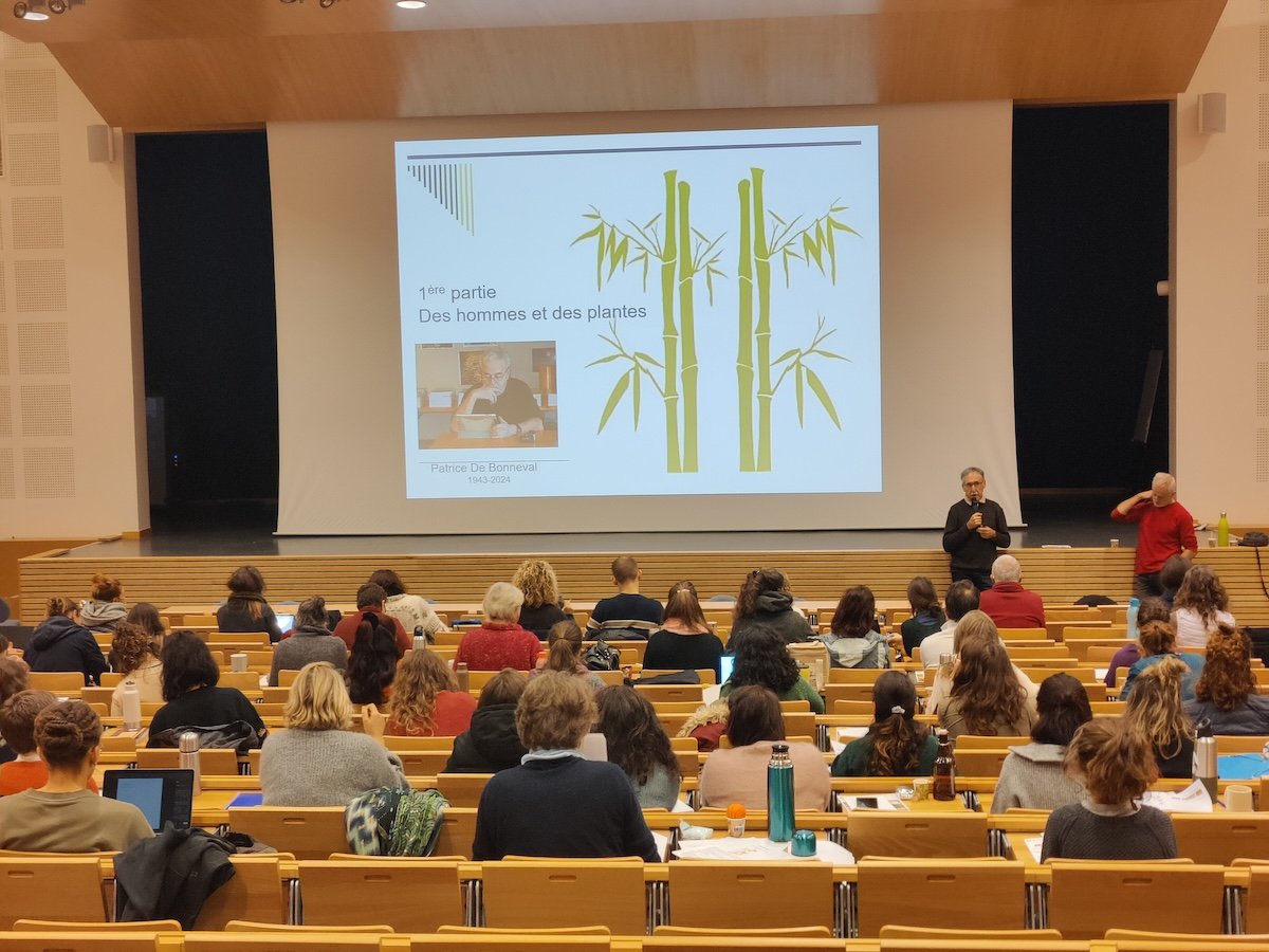 ecole-plantes-medicinales-herboristerie-lyon