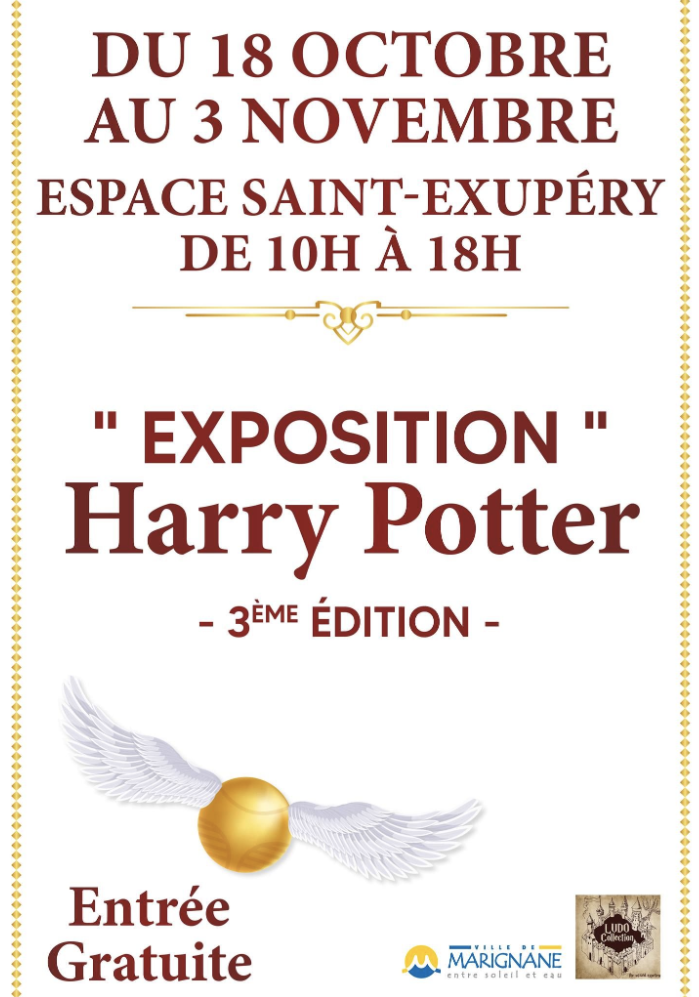 exposition harry potter