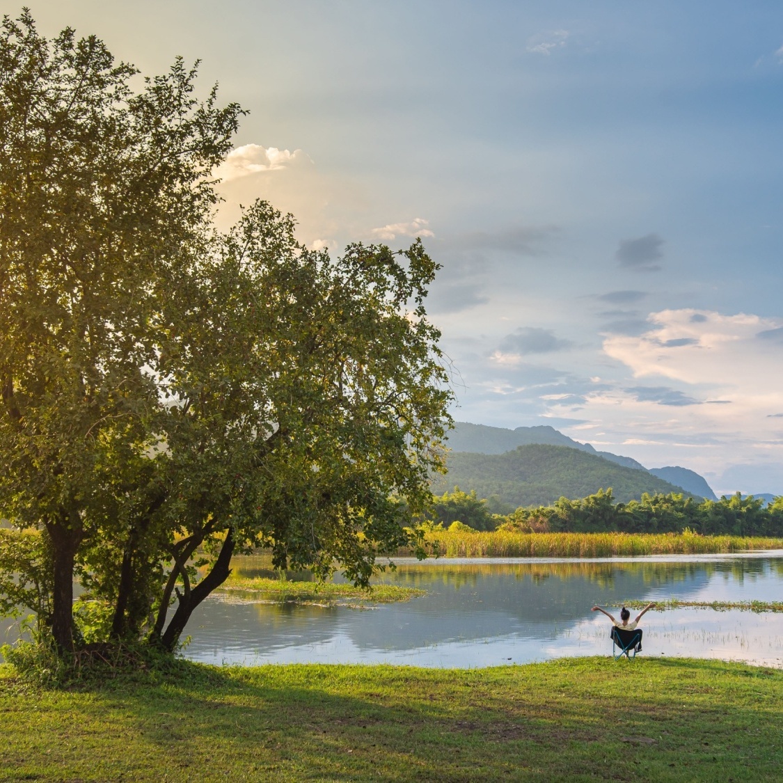 shutterstock-2152077767-1-