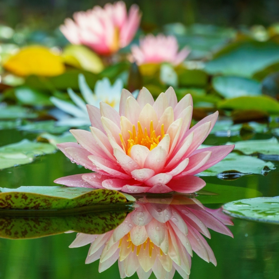 shutterstock-2150264535