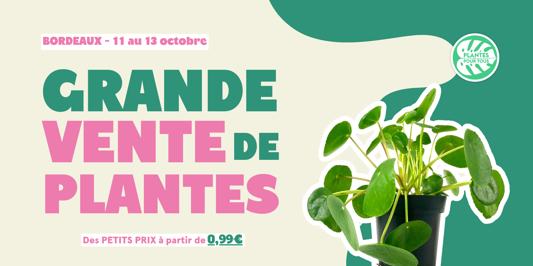 plantes pour tous bordeaux vente speciale petits prix