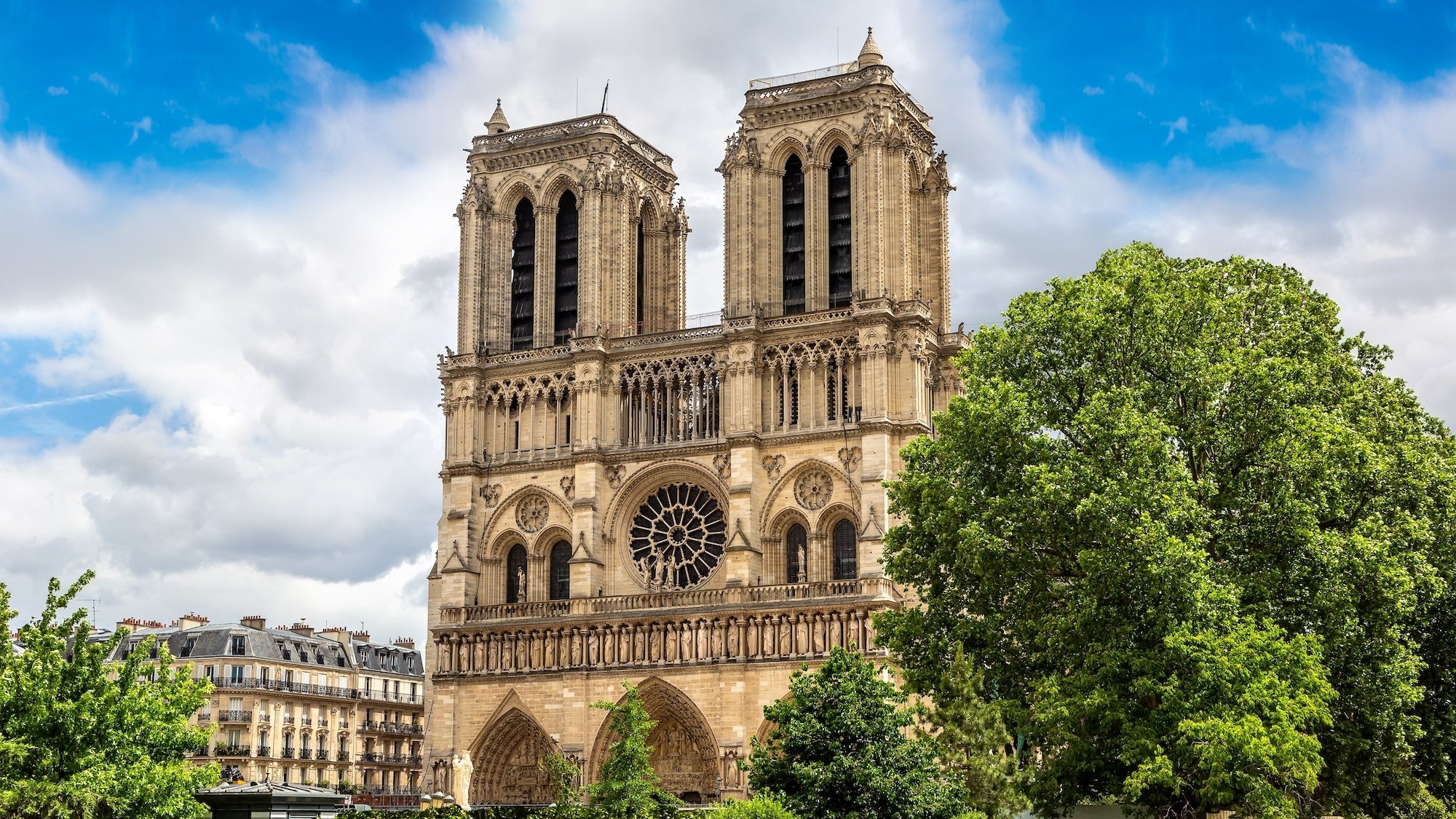 notre-dame-de-paris-travaux-cathedrale-parvi-arbre