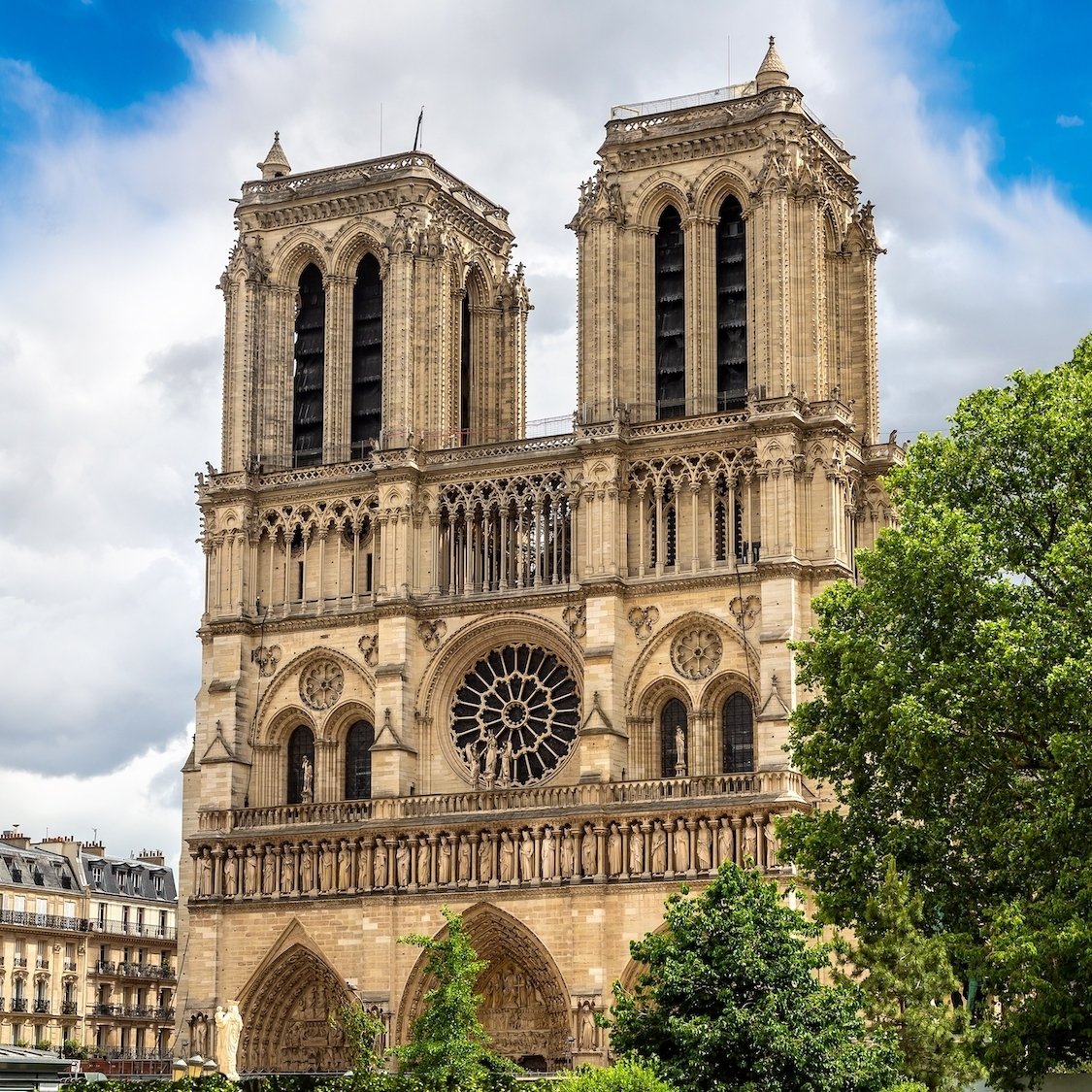 notre-dame-de-paris-travaux-cathedrale-parvi-arbre