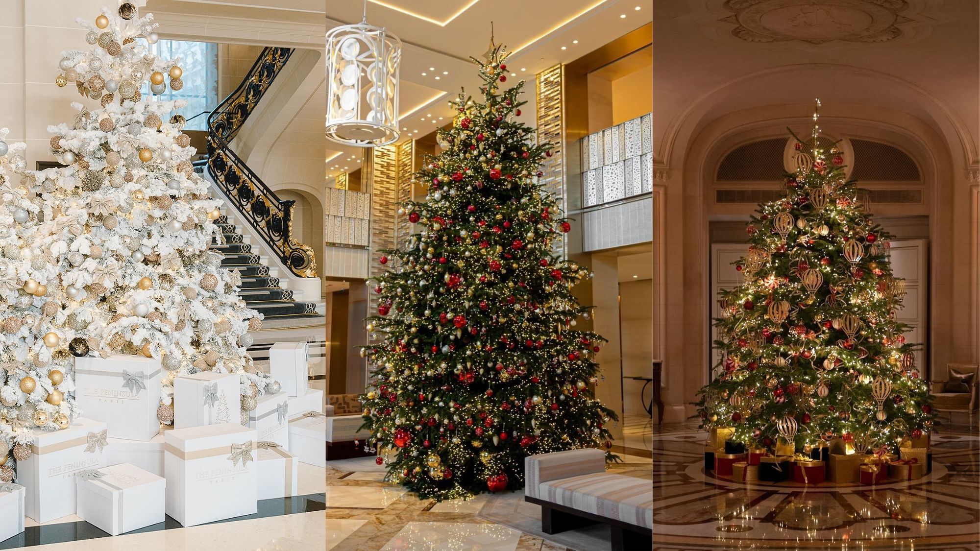 sapins-noel-paris