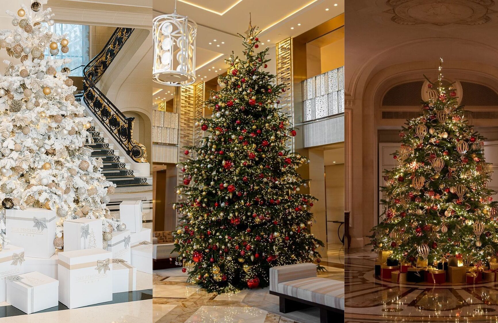 sapins-noel-paris_3_1732.jpg
