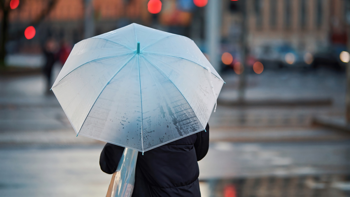 Rain, gray skies, and umbrellas: the dream recap of autumn in Lille 2024 | Le Bonbon