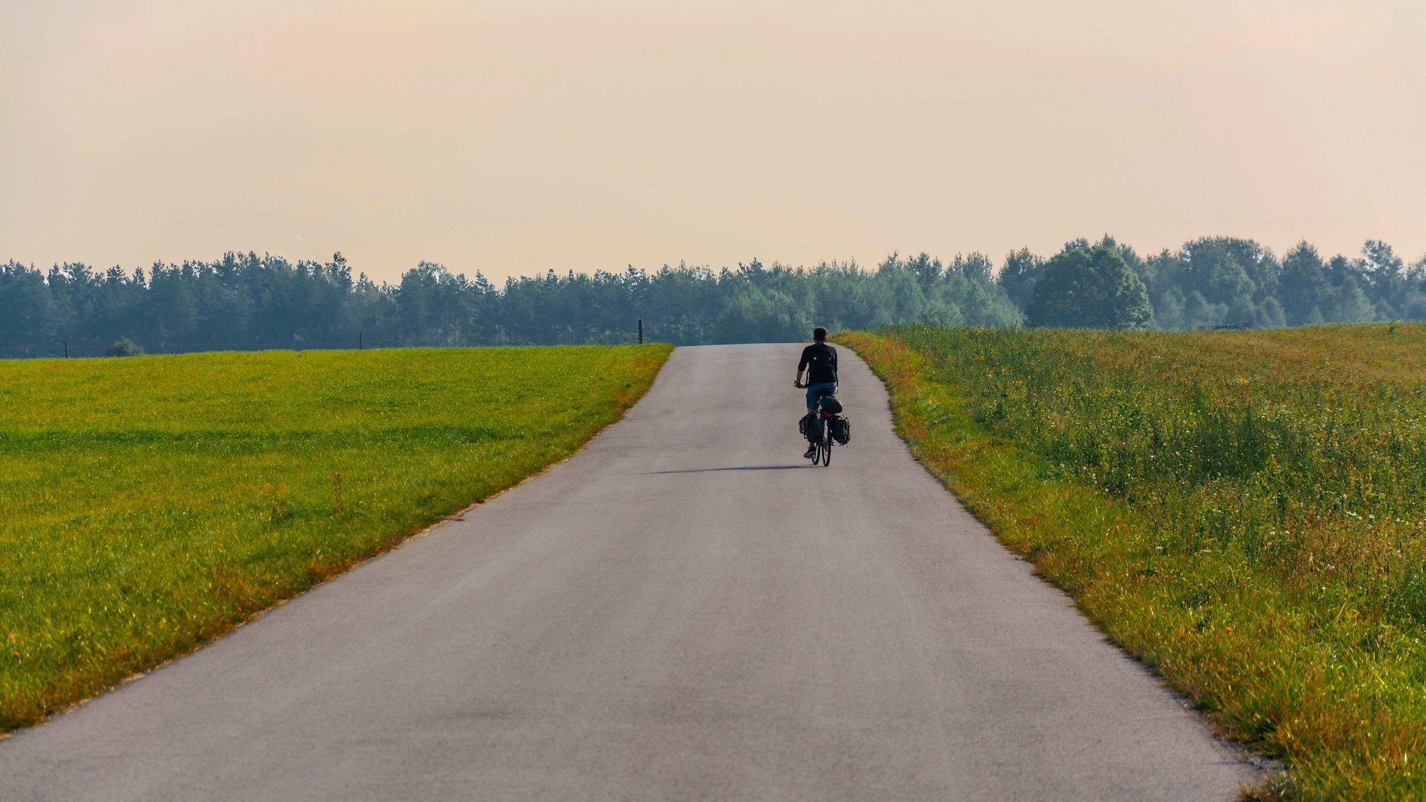 velo-ile-de-france-campagne-homme-seul-champs-colz