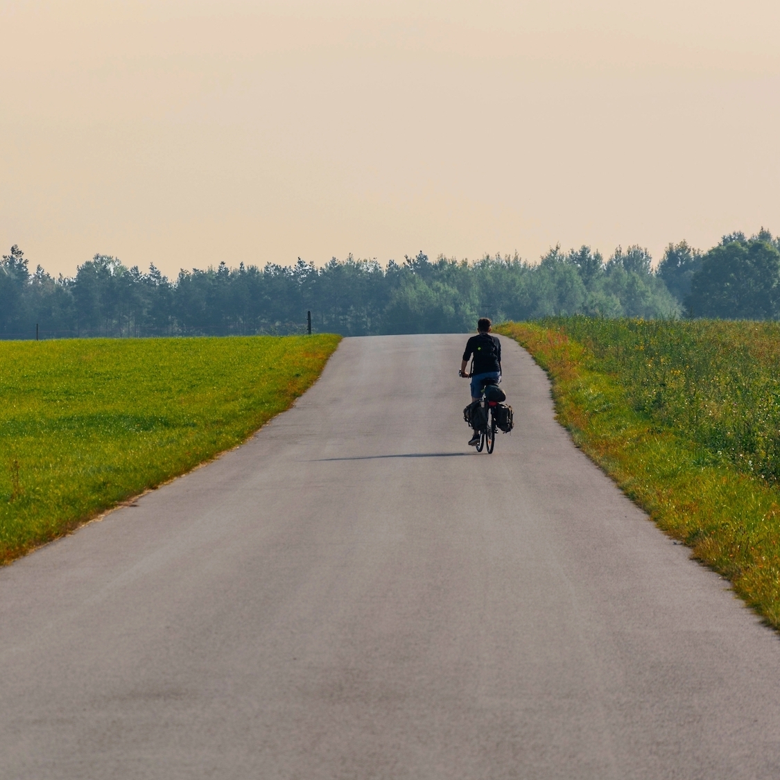 velo-ile-de-france-campagne-homme-seul-champs-colz