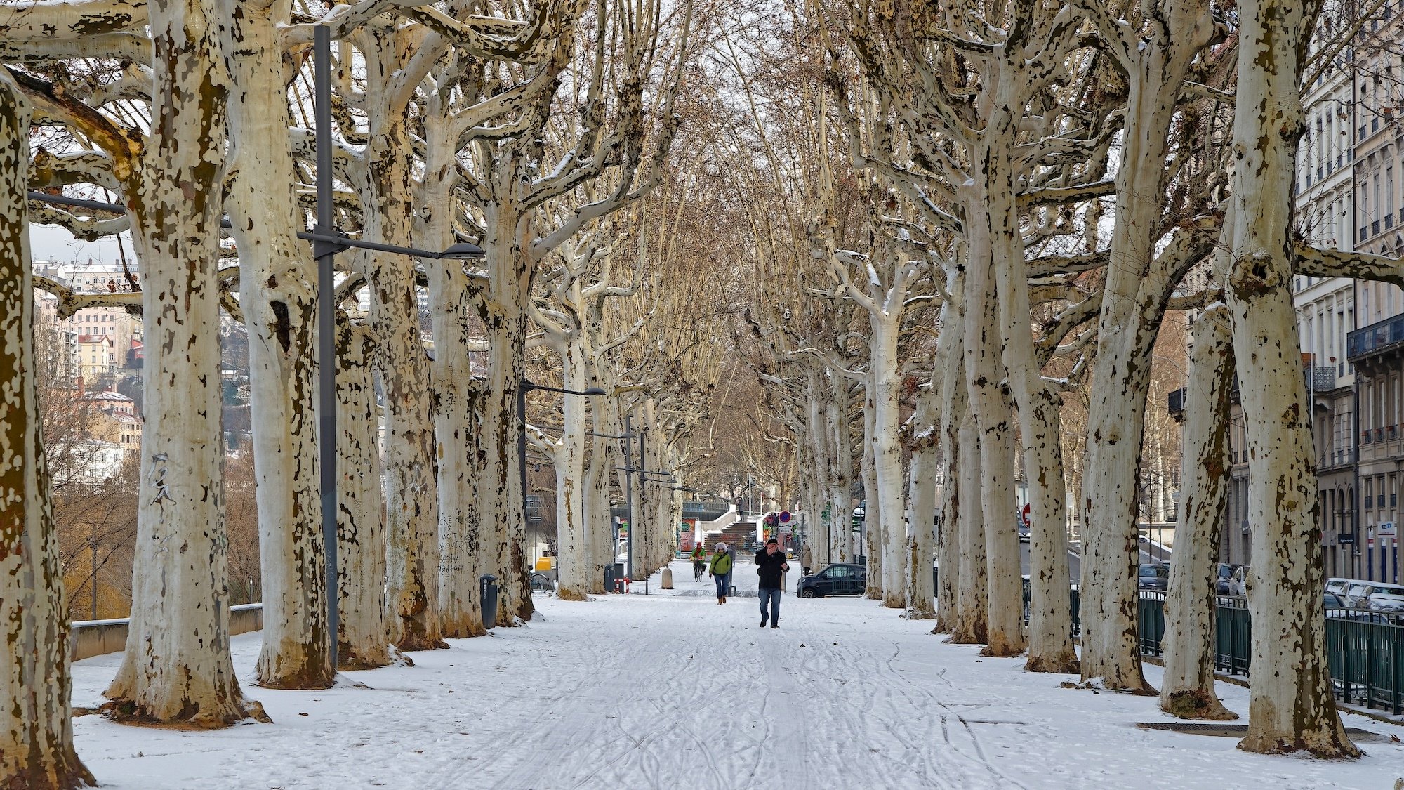 lyon-meteo-neige