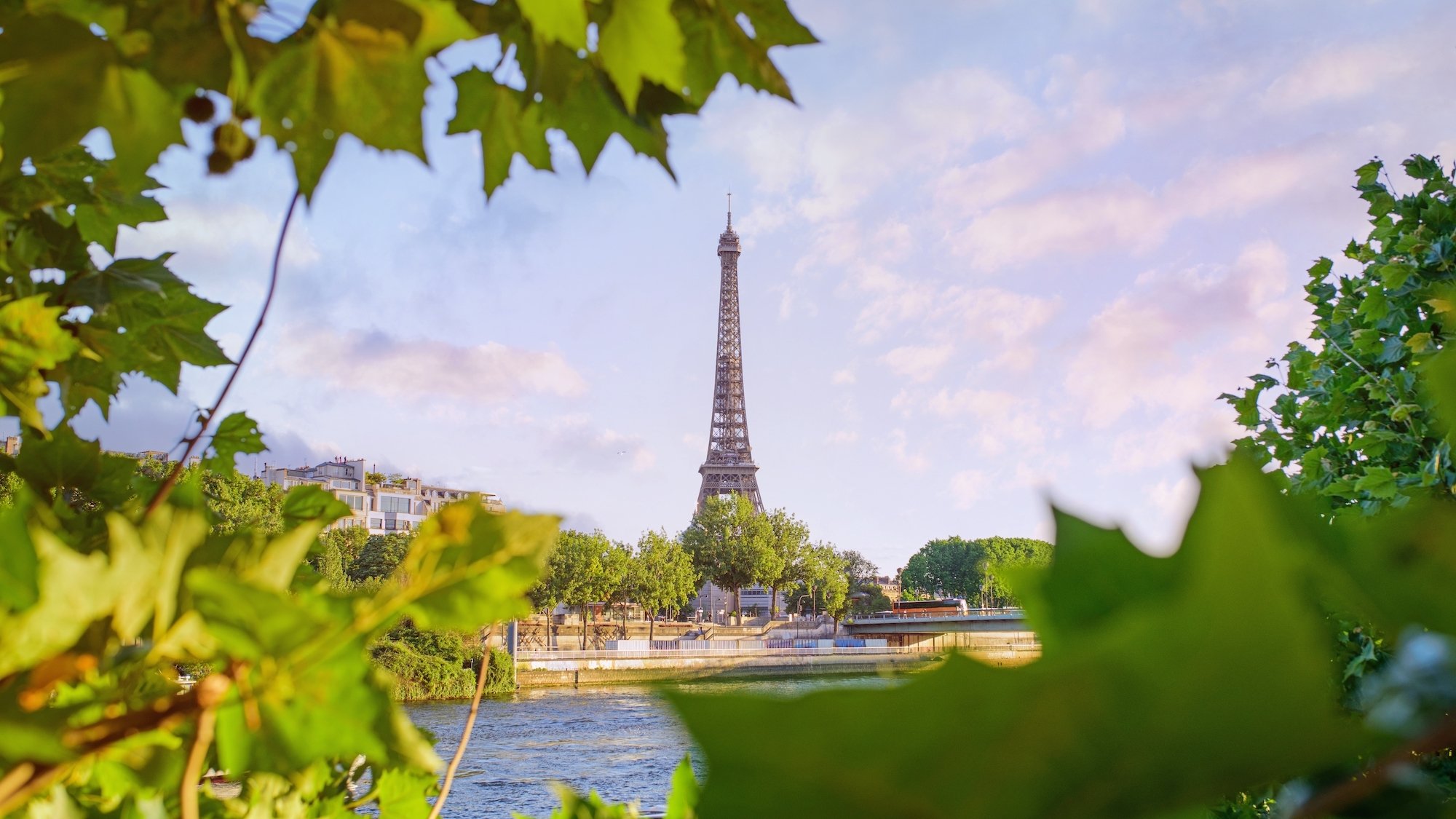 tour-eiffel-paris-seine-arbre-ve-ge-tation-plantes