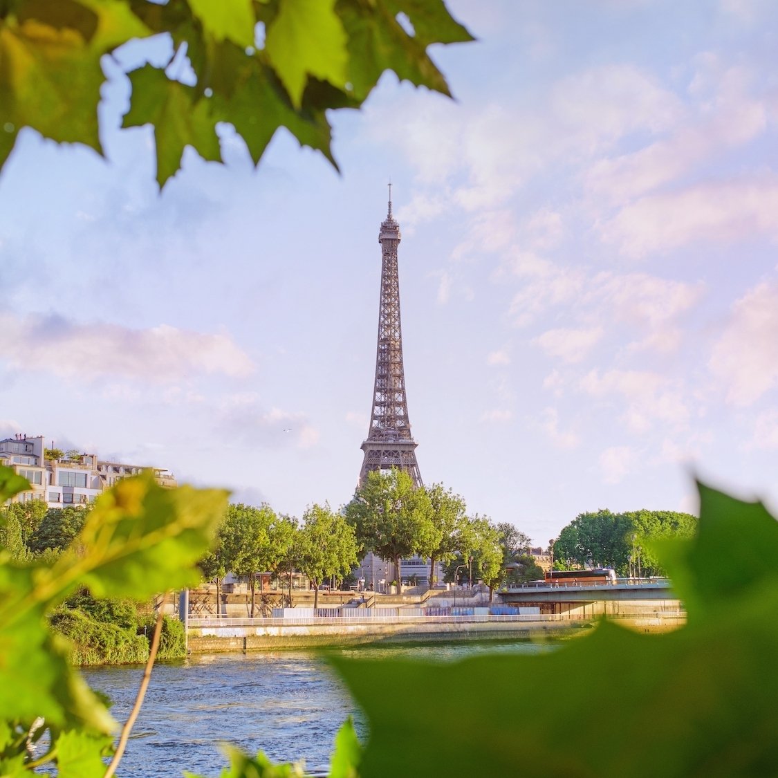 tour-eiffel-paris-seine-arbre-ve-ge-tation-plantes