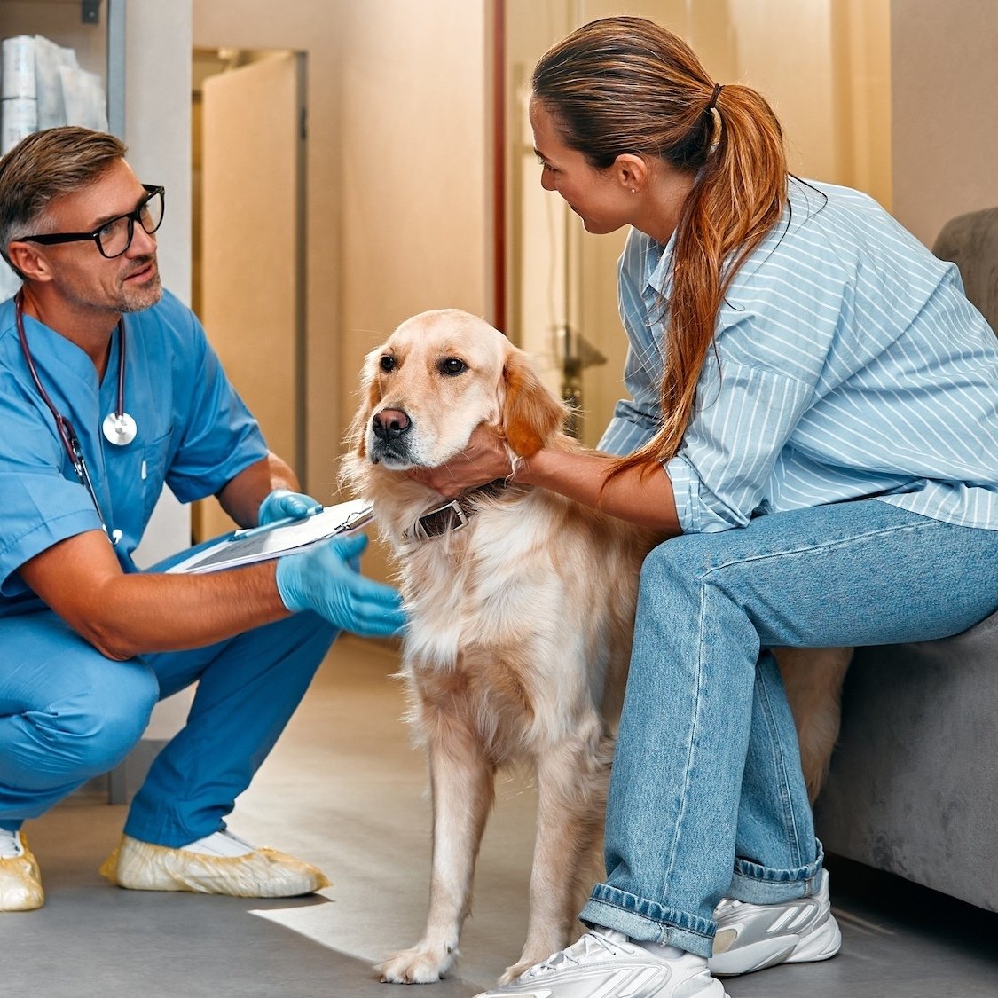 veterinaire-gratuit-spa-lyon-2025