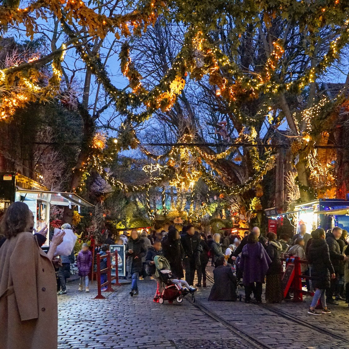 ambiance-festival-du-merveilleux-pavillons-de-berc