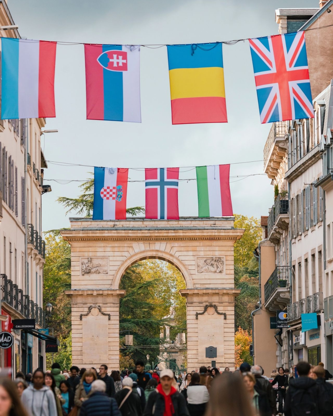 rue de la liberté Dijon Drapeaux OIV