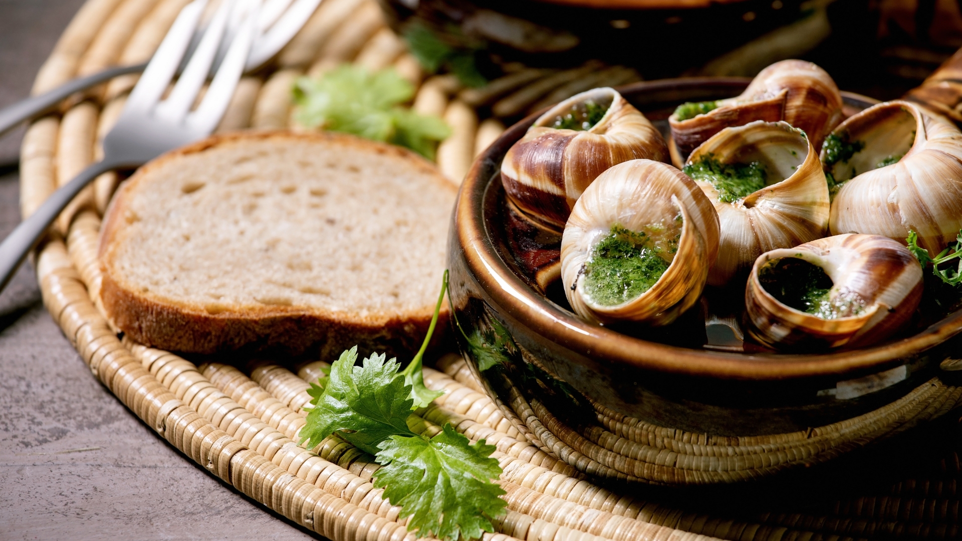 escargot beurre bourgogne noel