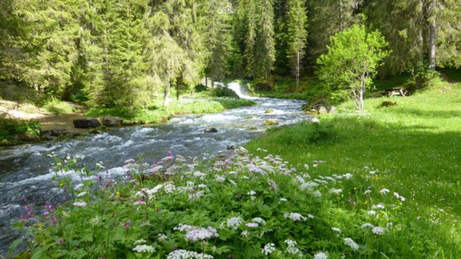 la Source du Doubs, à Mouthe