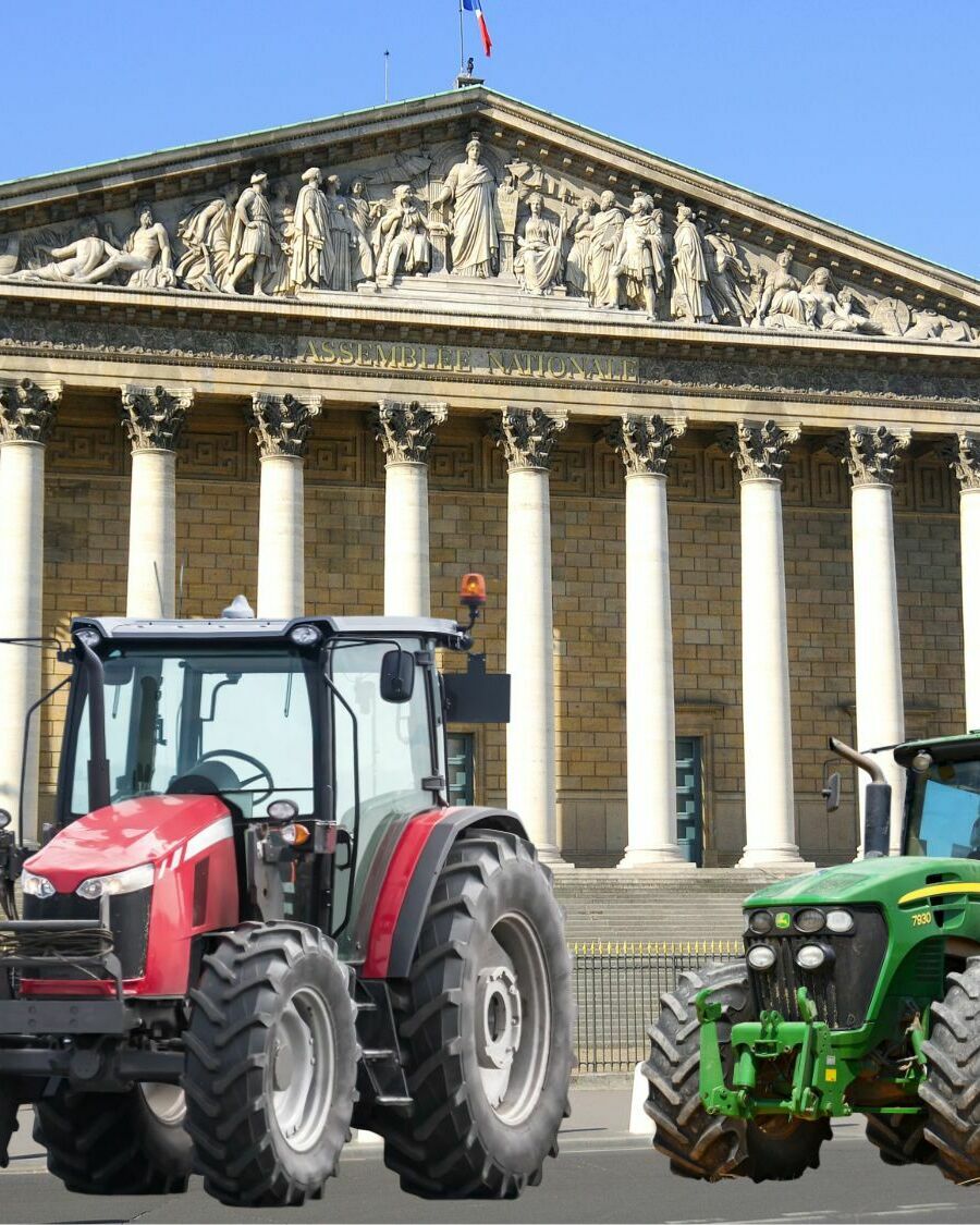 Un professeur veut étudier les avantages de manger des croûtes de nez