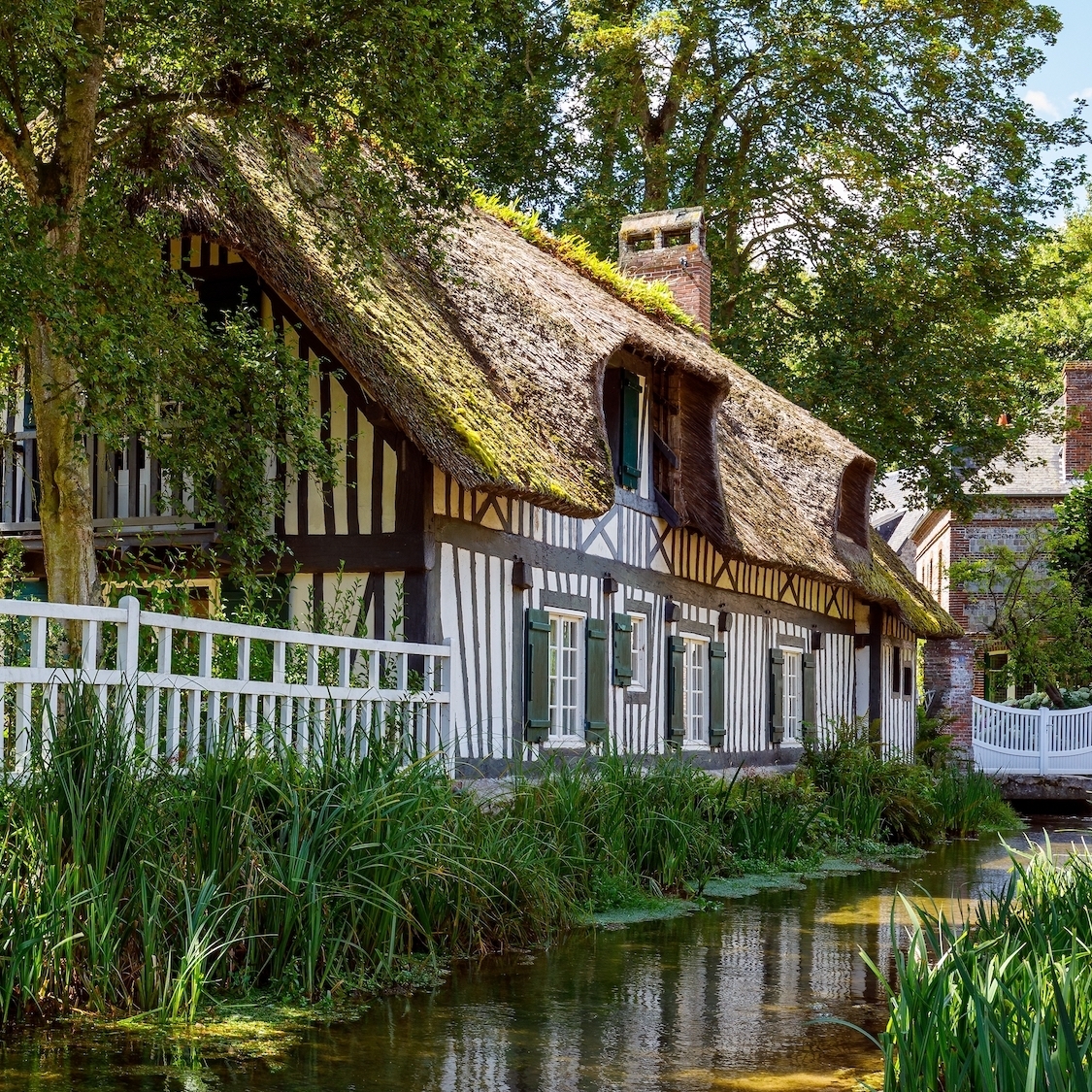 shutterstock-2244189989