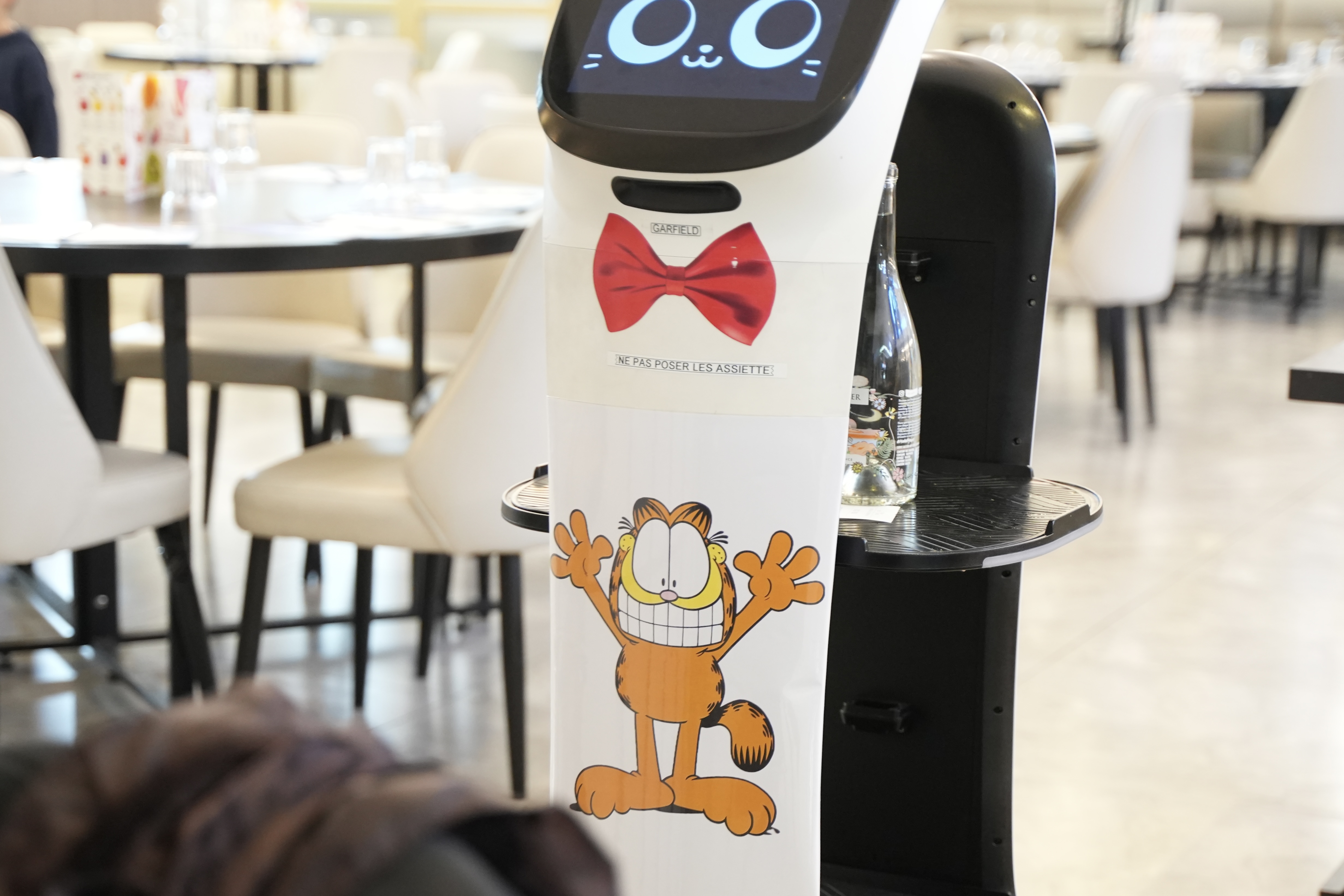 restaurant robots bordeaux grill du haillan