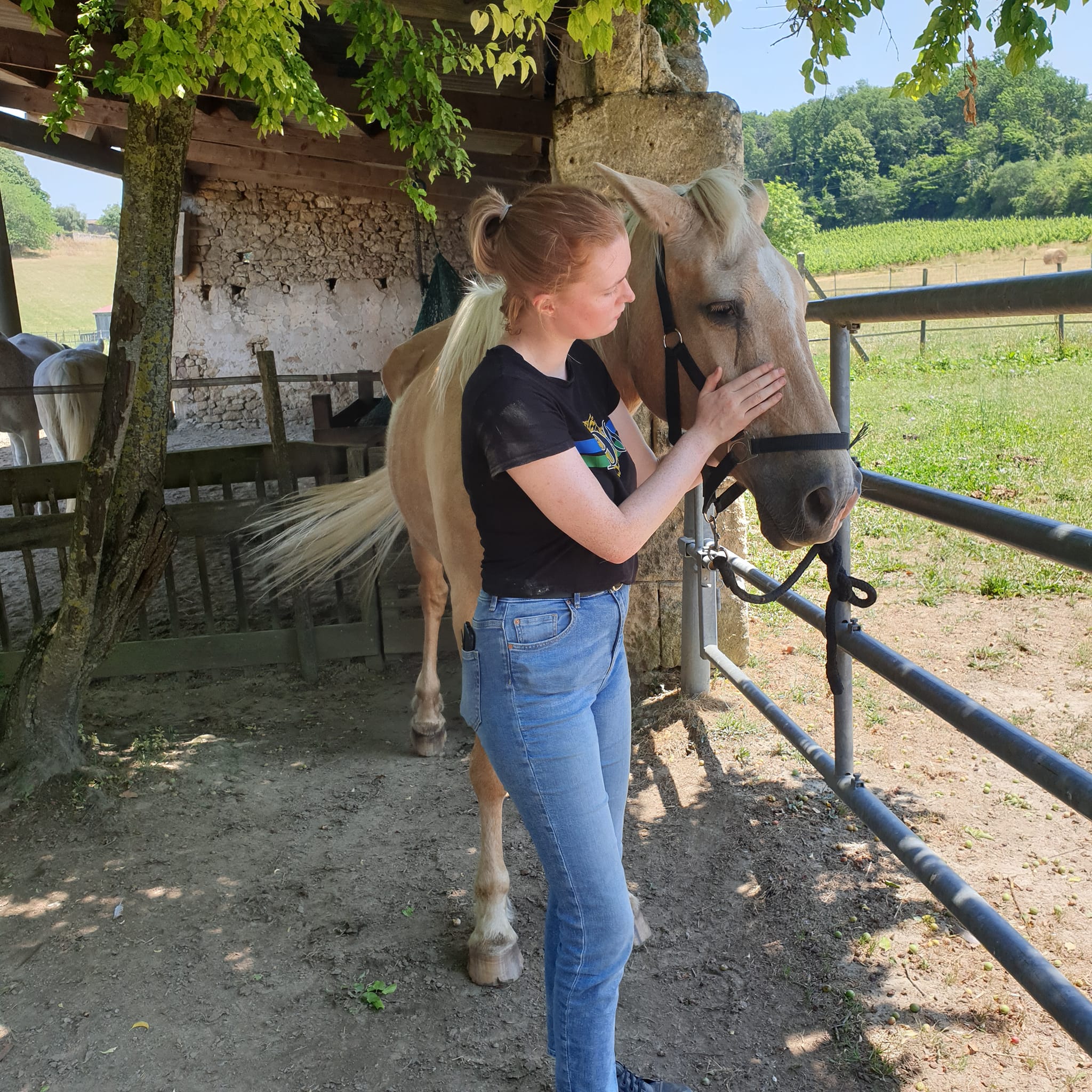 ehpad chevaux gironde bordeaux