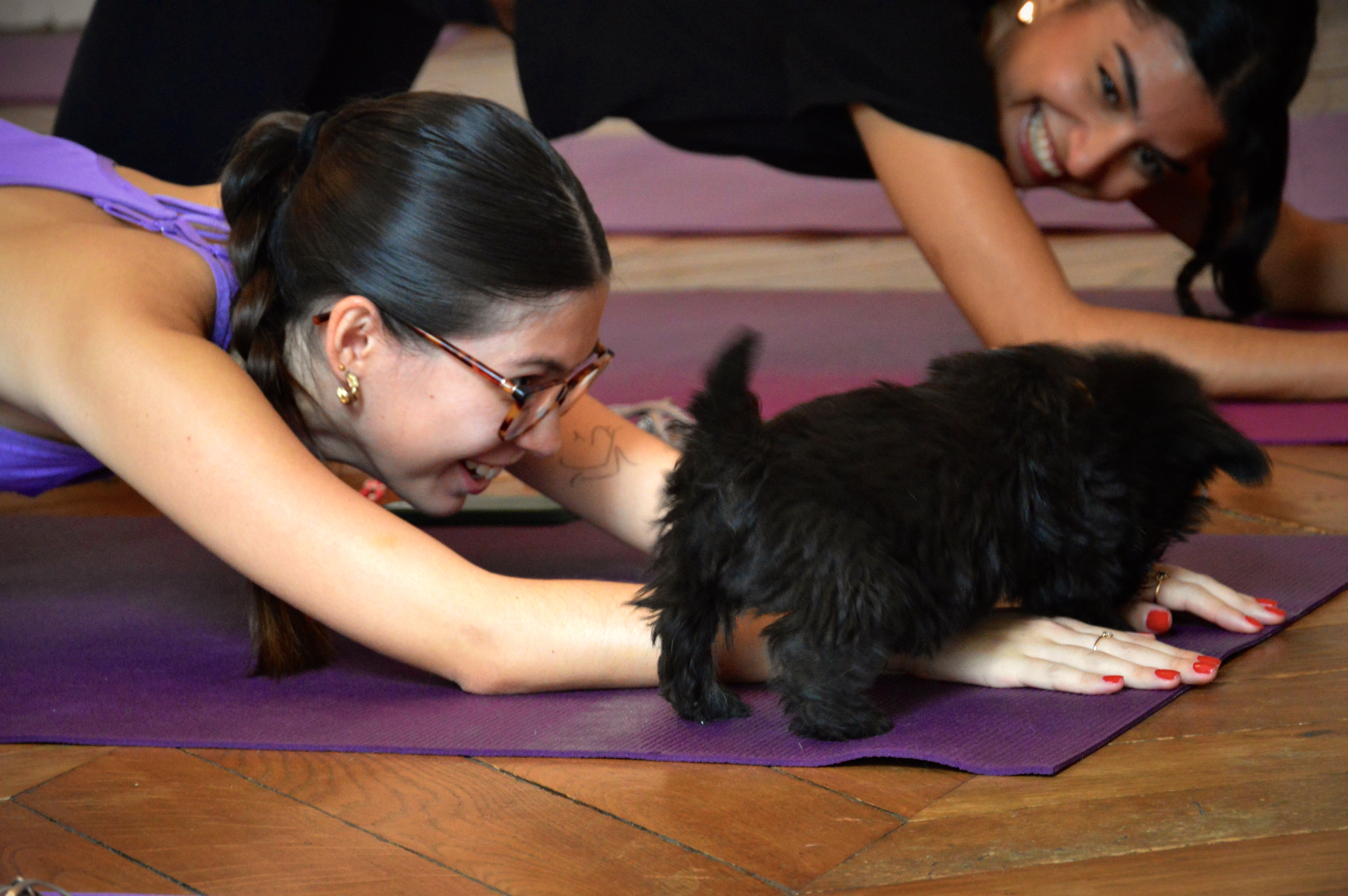 puppy yoga center bordeaux cours yoga chiens