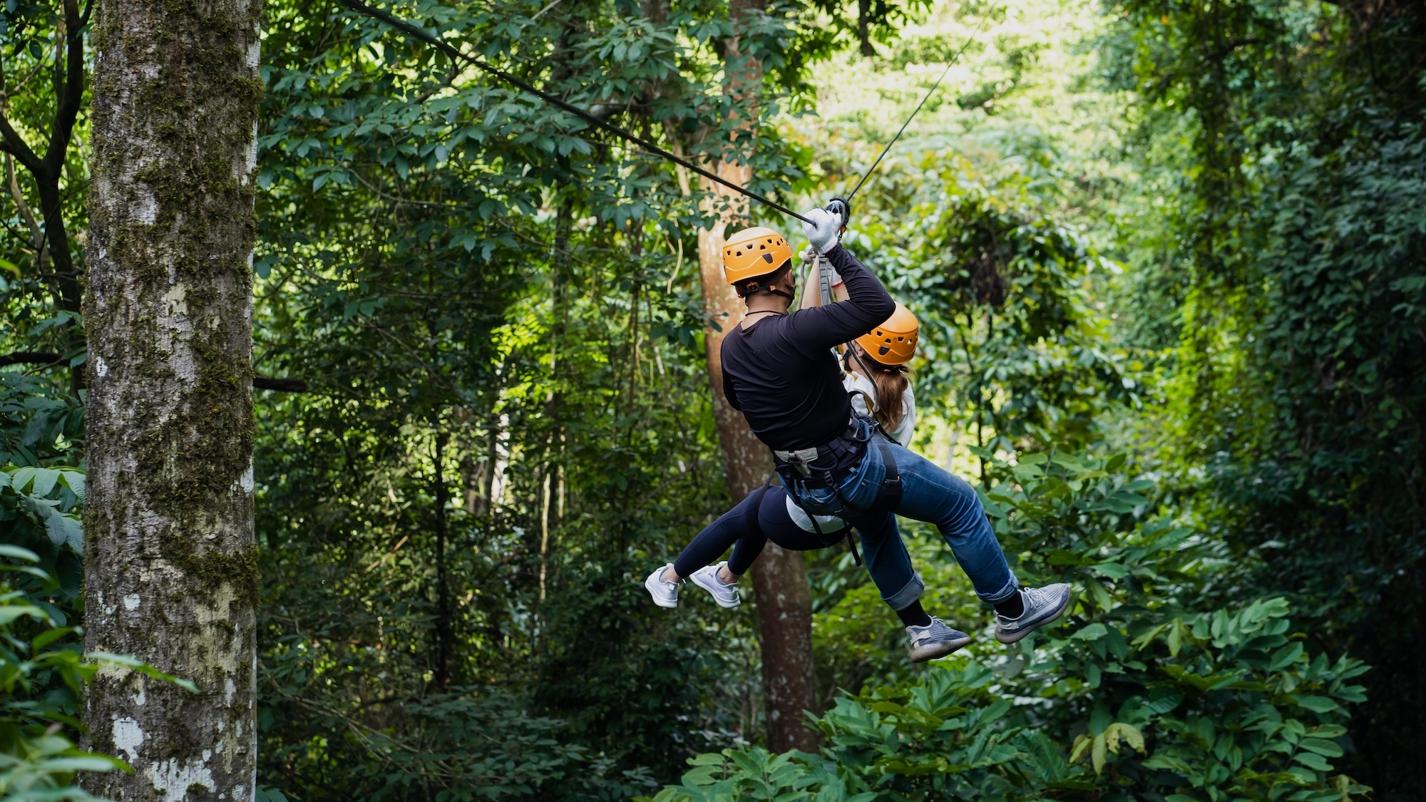 Il existe une tyrolienne géante entre lac et forêt près de Bordeaux shutterstock-2344203669