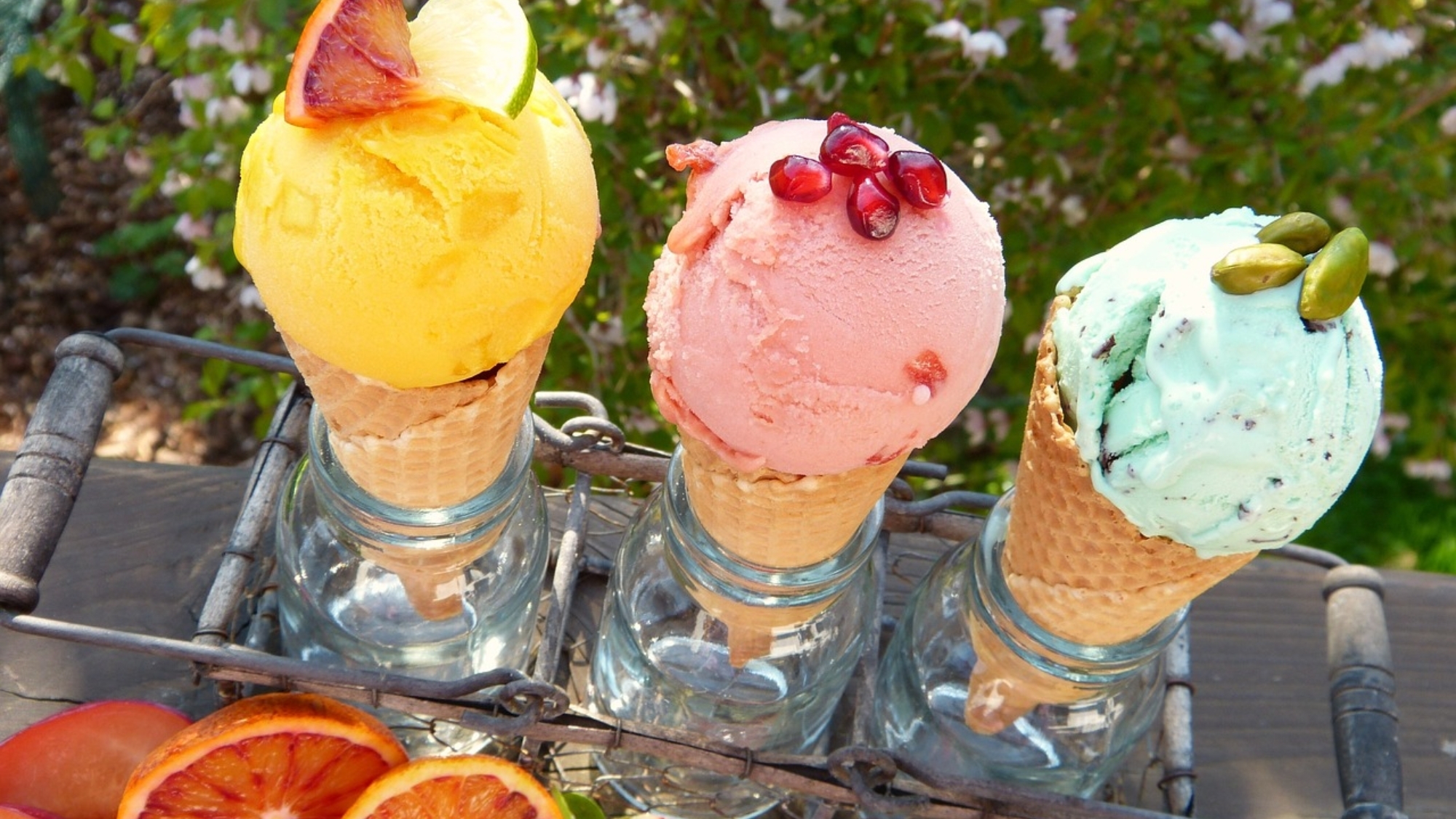 top-glaces-dijon-1-