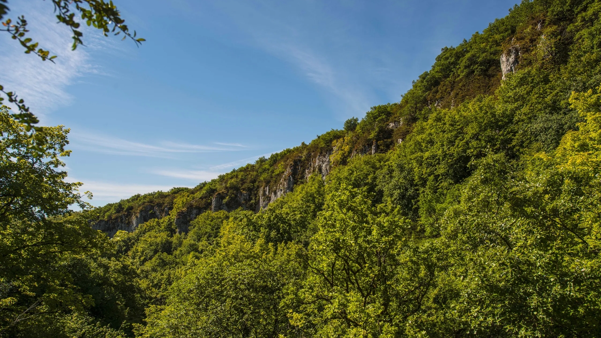 combe-lavaux-jean-roland-1-